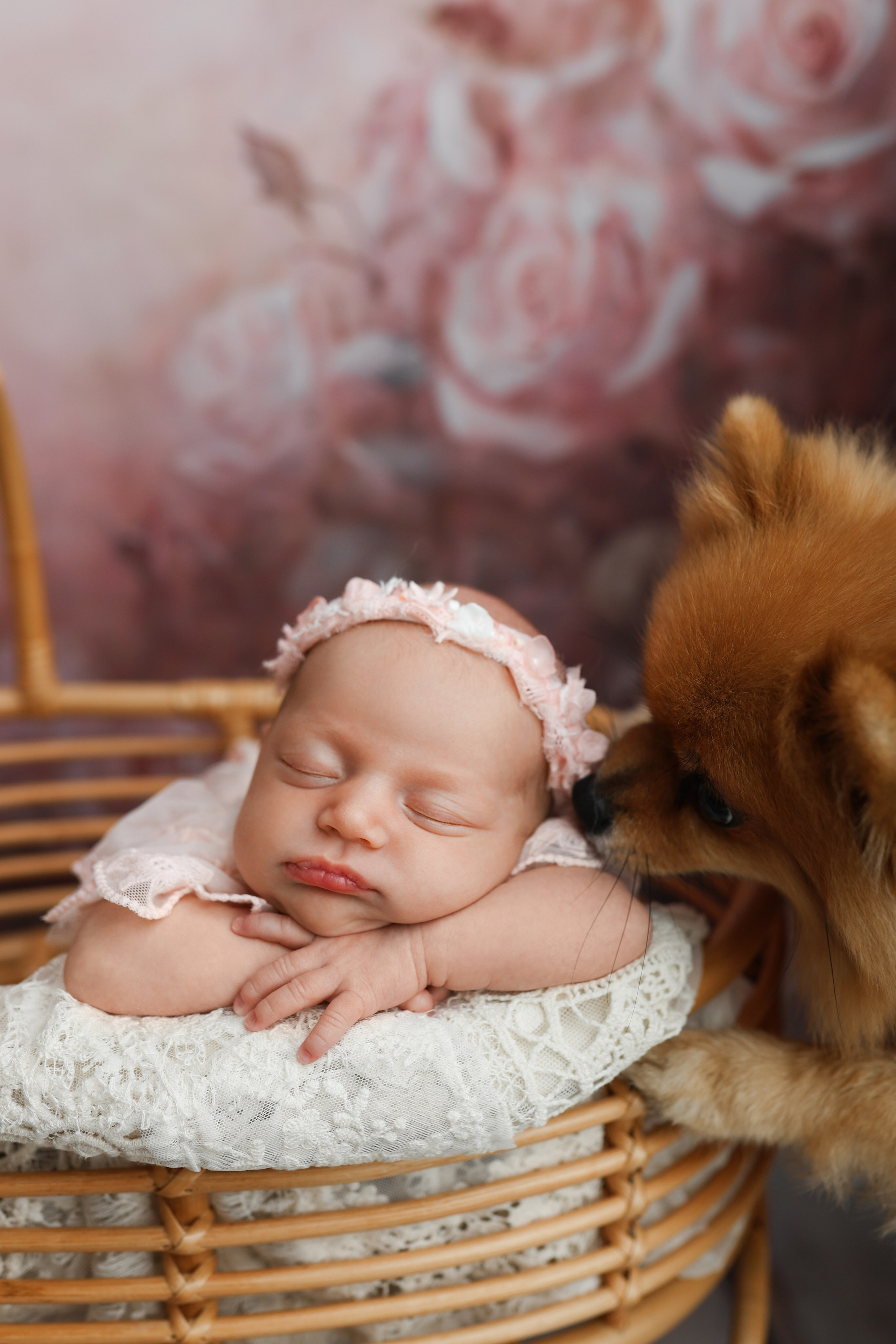 Стефания. Лилия Алтухова — фотограф новорожденных в Москве и области