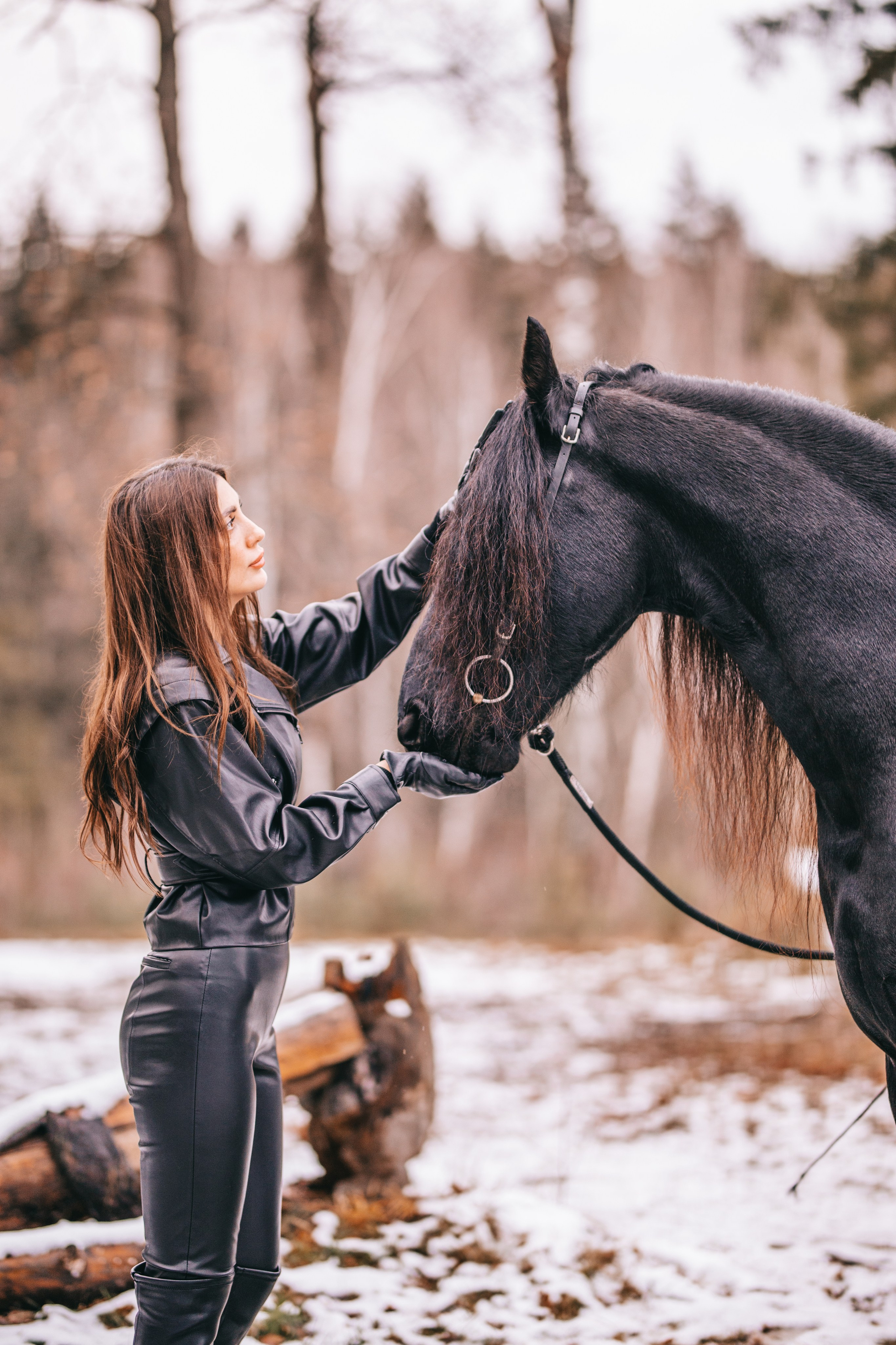 Фотосессия с лошадьми в Москве. Фотосессии с лошадьми