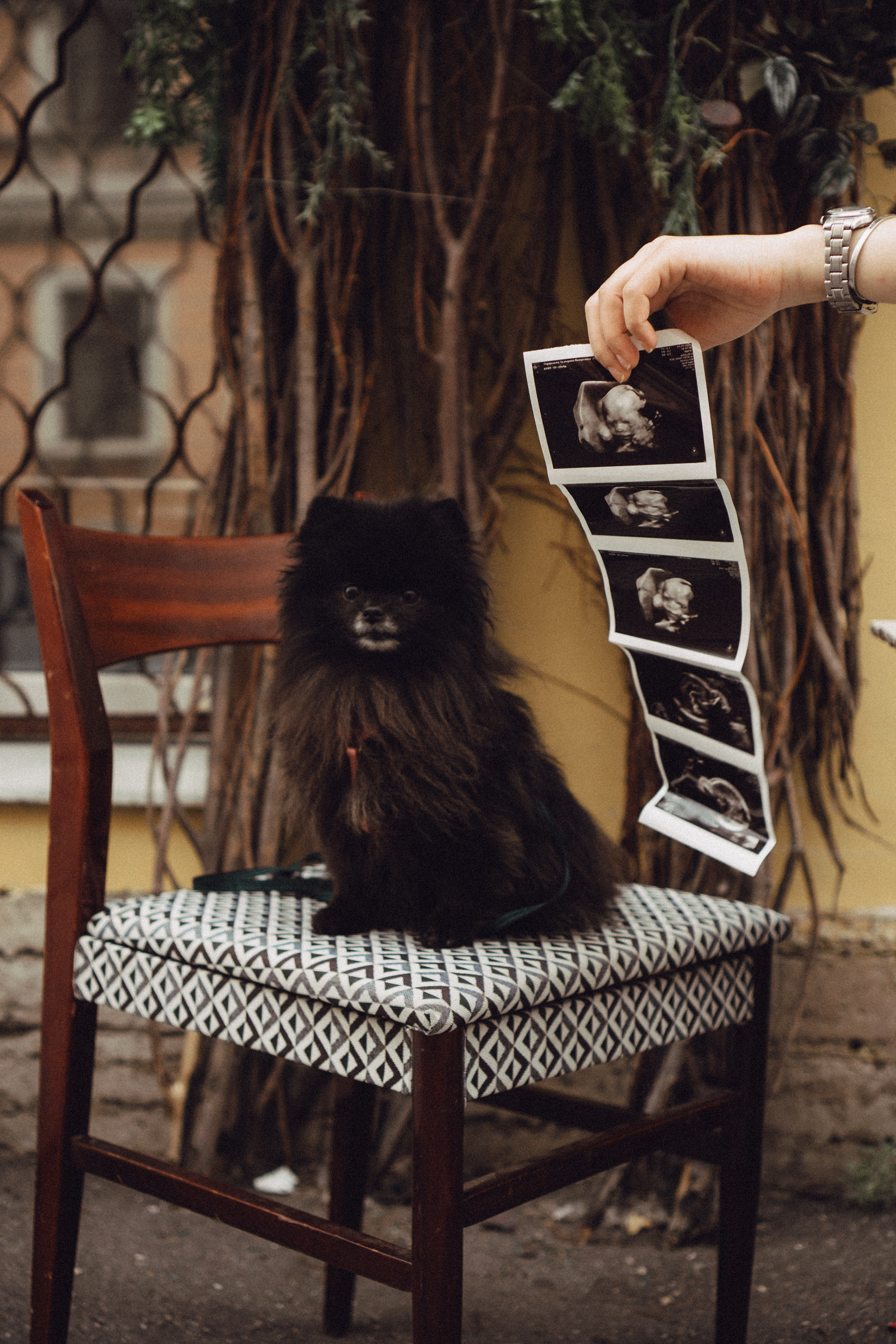 Беременность (только часть фото по желанию клиентов могу показать)). Профессиональный фотограф, Санкт-Петербург — Виктория Богомолова