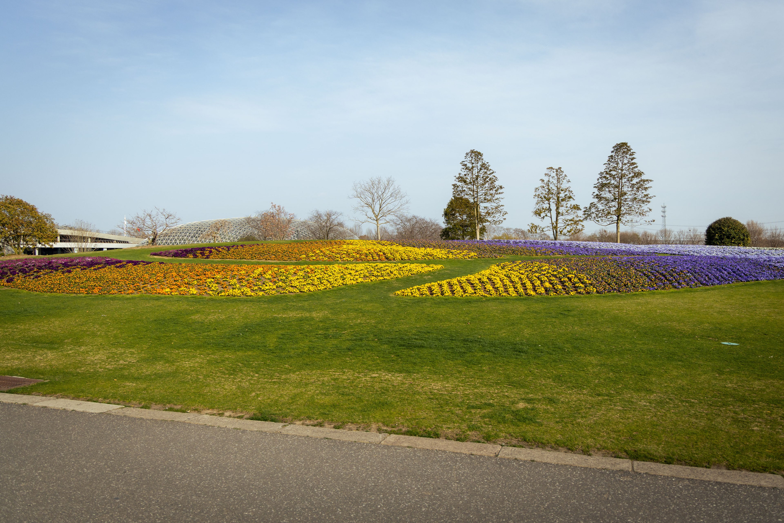 Шанхай (март 2026). Фотограф Виноградов Константин
