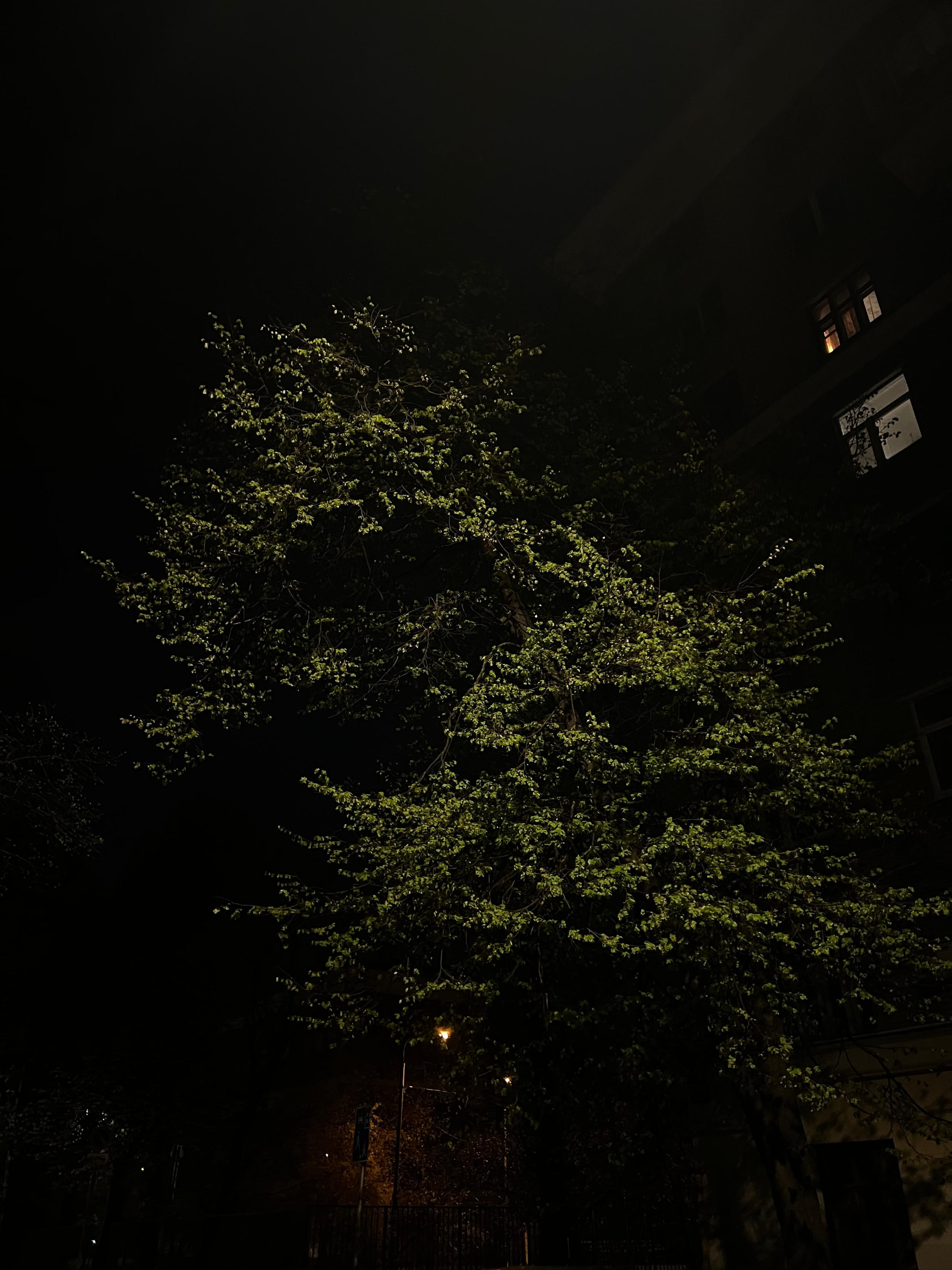 Fragments. Artem Khusainov