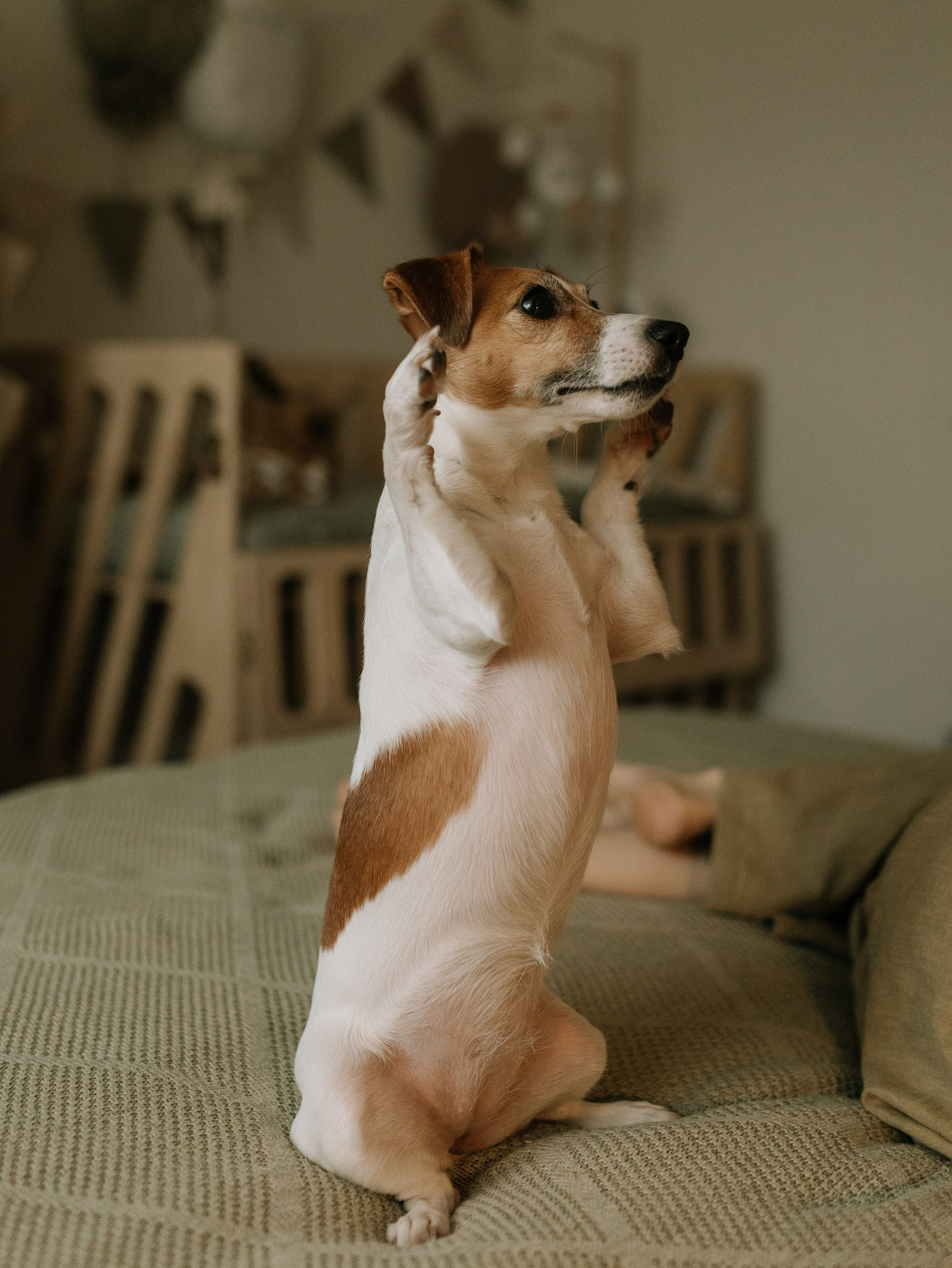 ♡. Фотограф во Владимире, Москве и Суздале-Виктория Чистякова