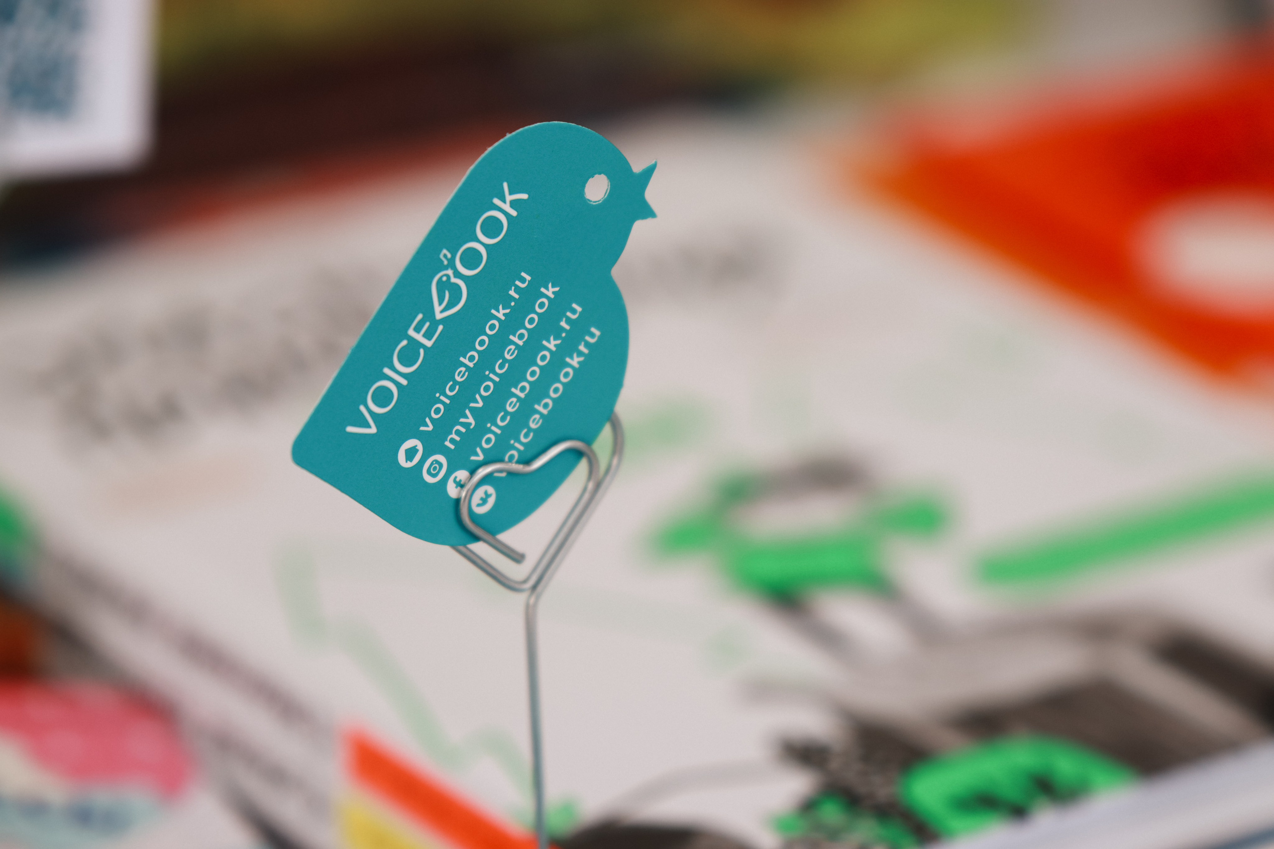 Фотосессия для издательства «Voice Book». Репортажный фотограф в Москве и Зеленограде Karina-vozd