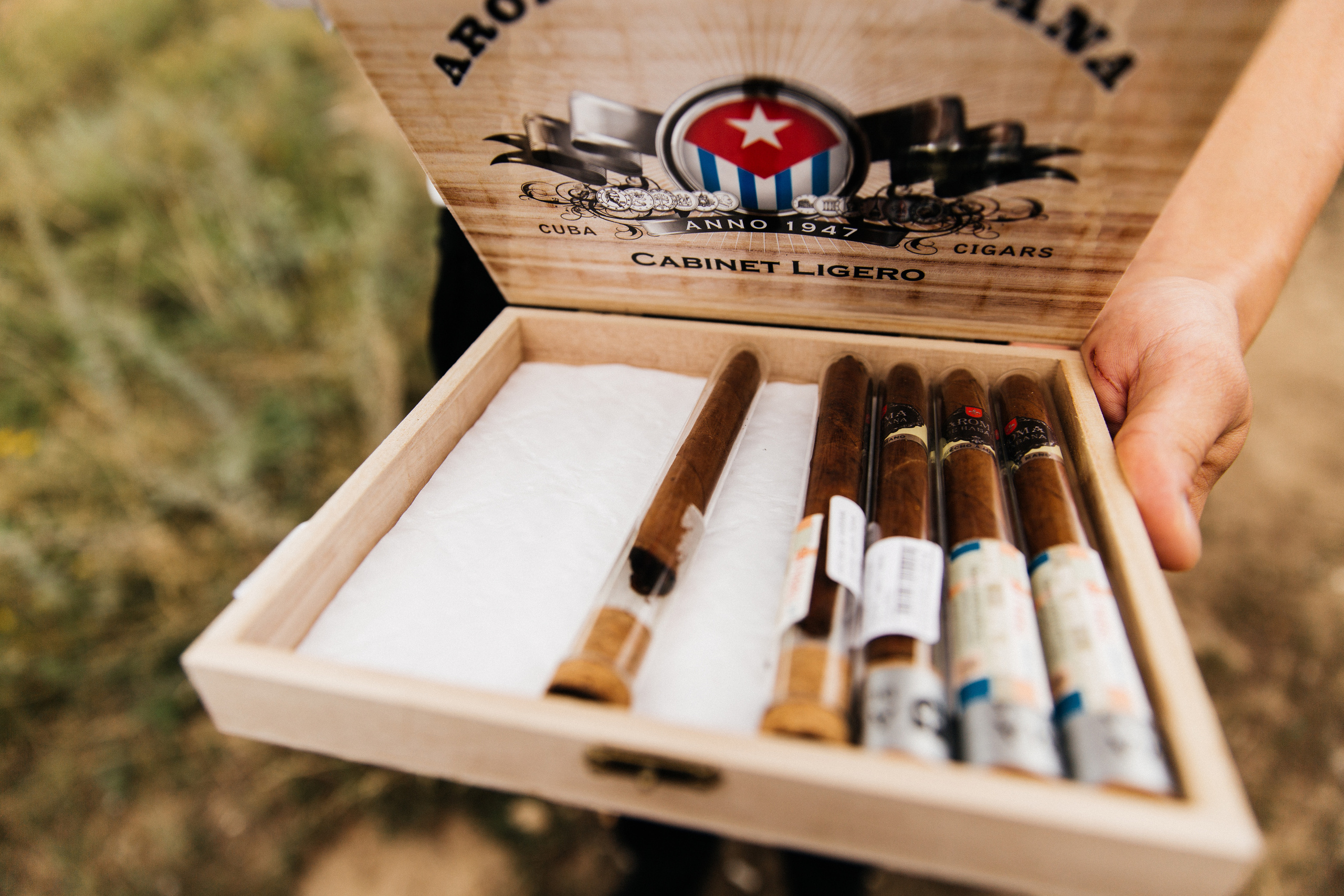 Юлия и Николай. Катя Завьялова