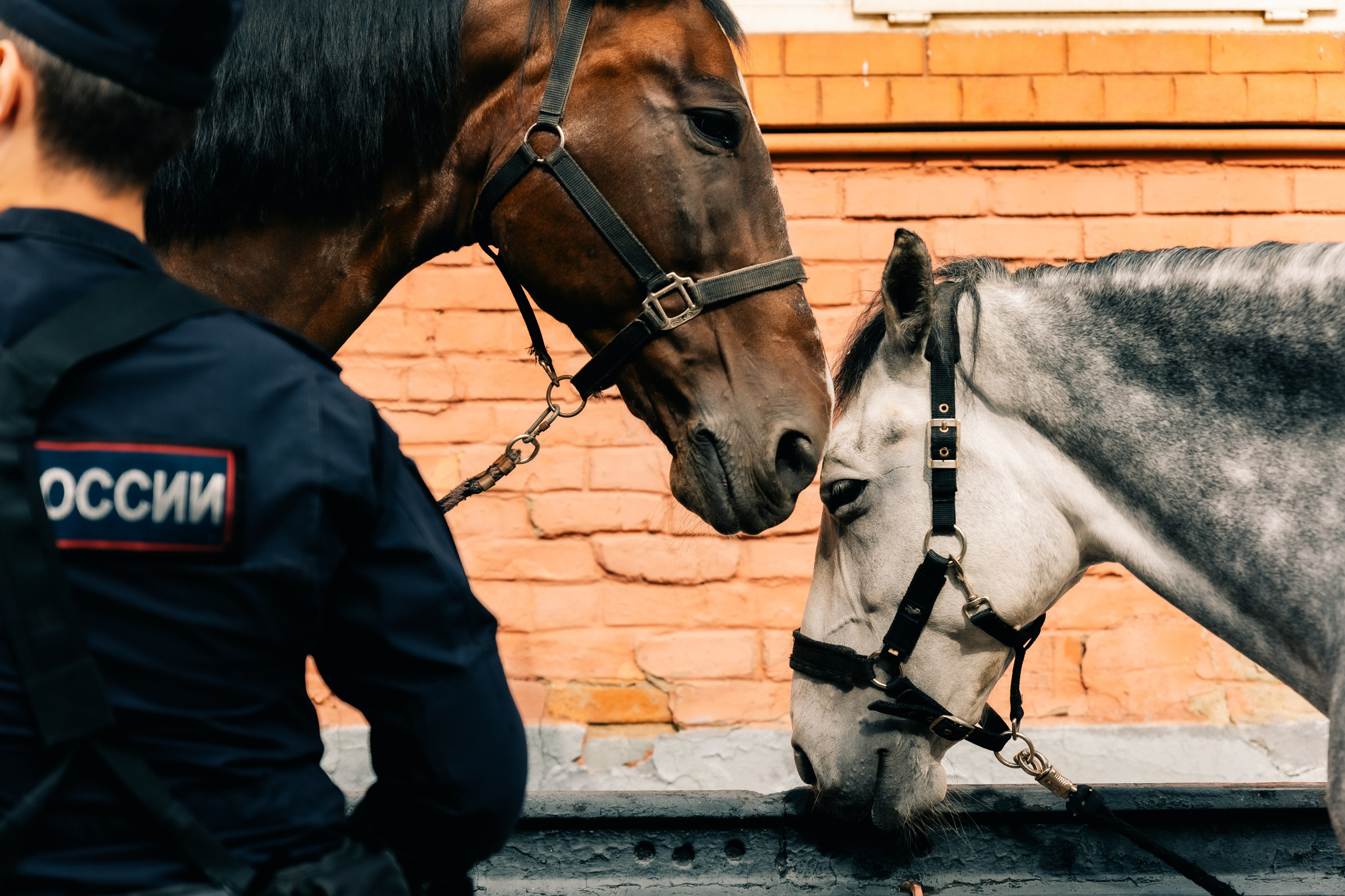 Проект для ГУ МВД г. Москва. Фотограф в Москве и МО Влада Обласова