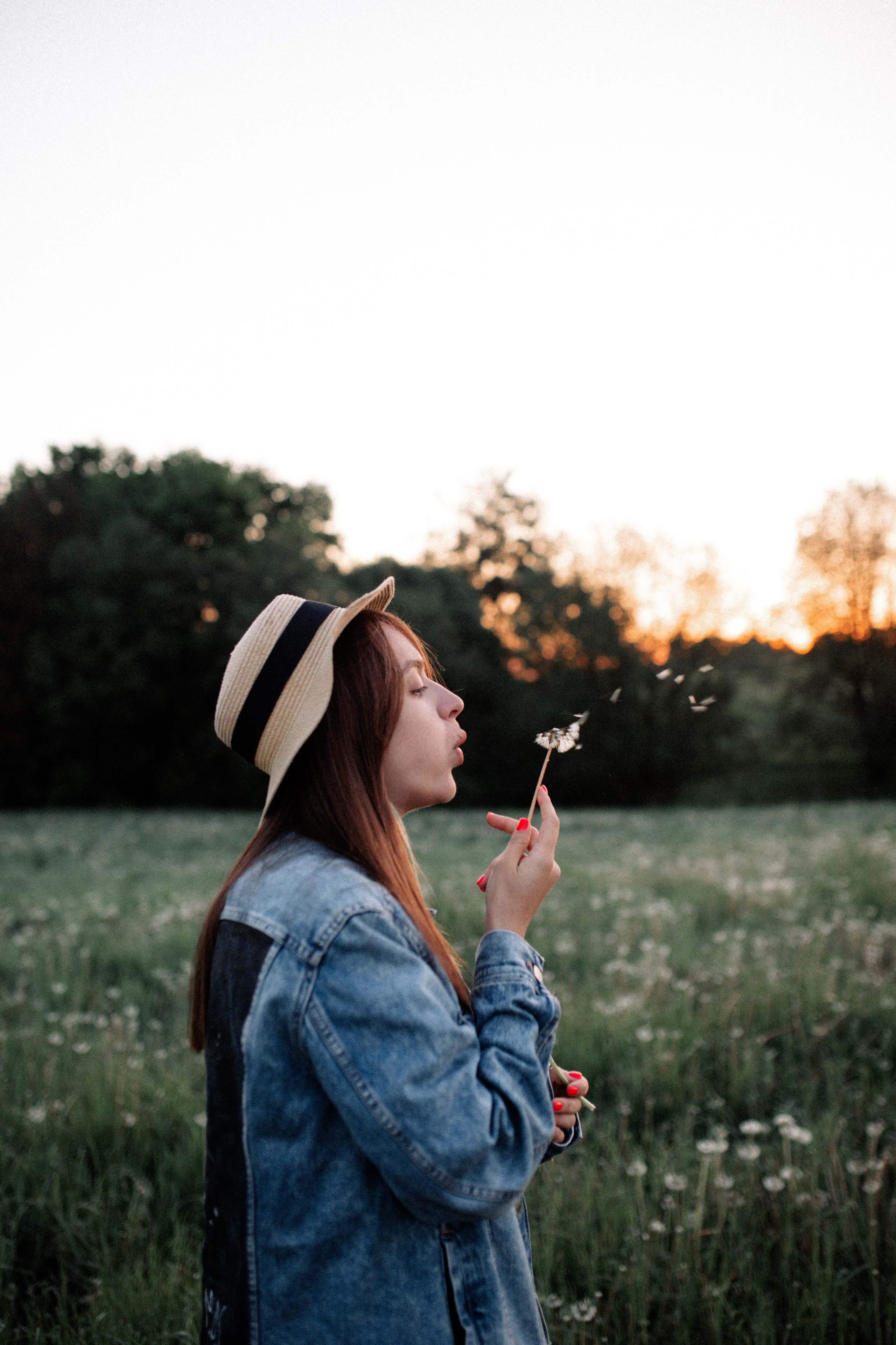 Рассветная история