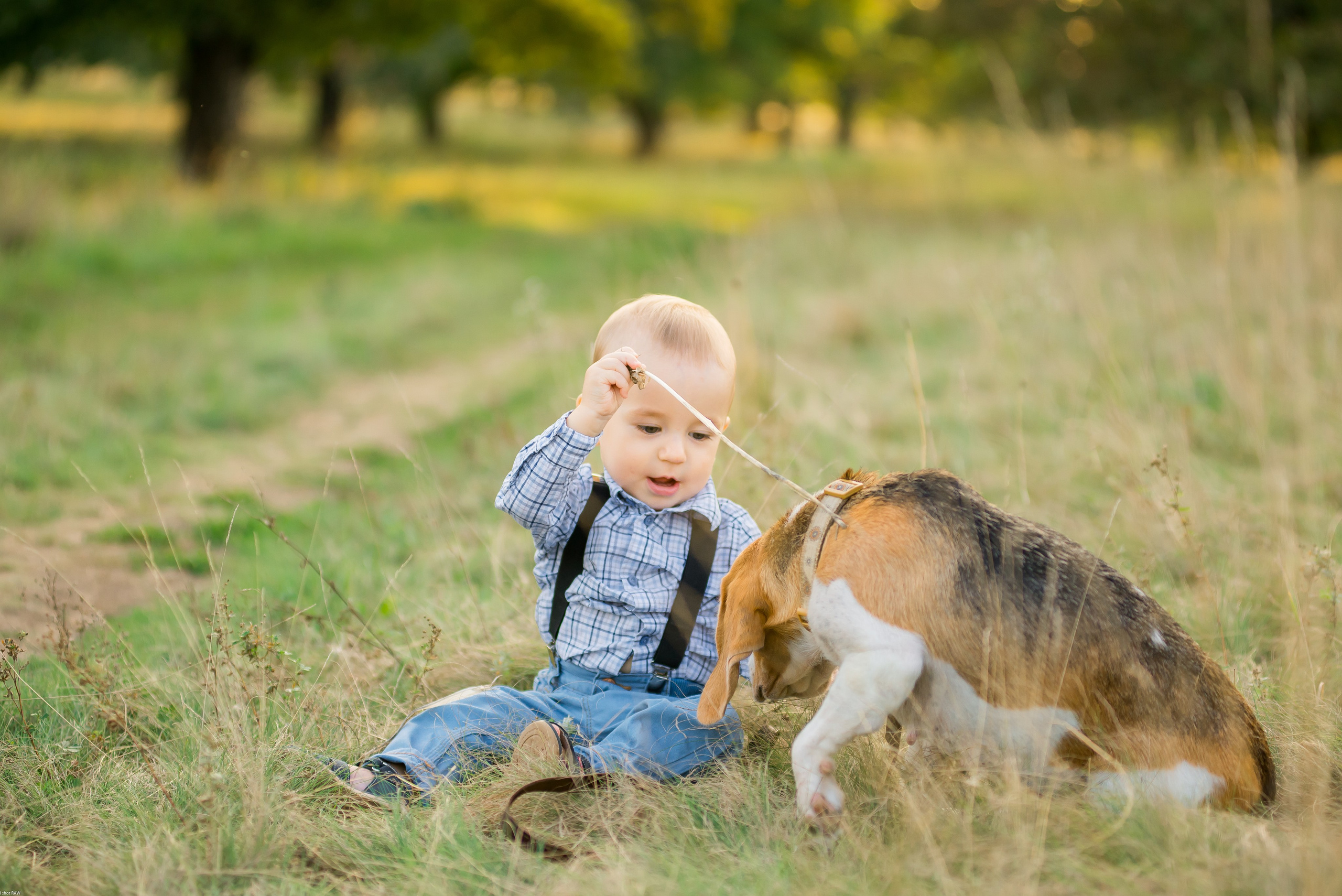 Саша, Наташа и маленький Савва. Свадебный фотограф в Рязани Вагнер Владимир