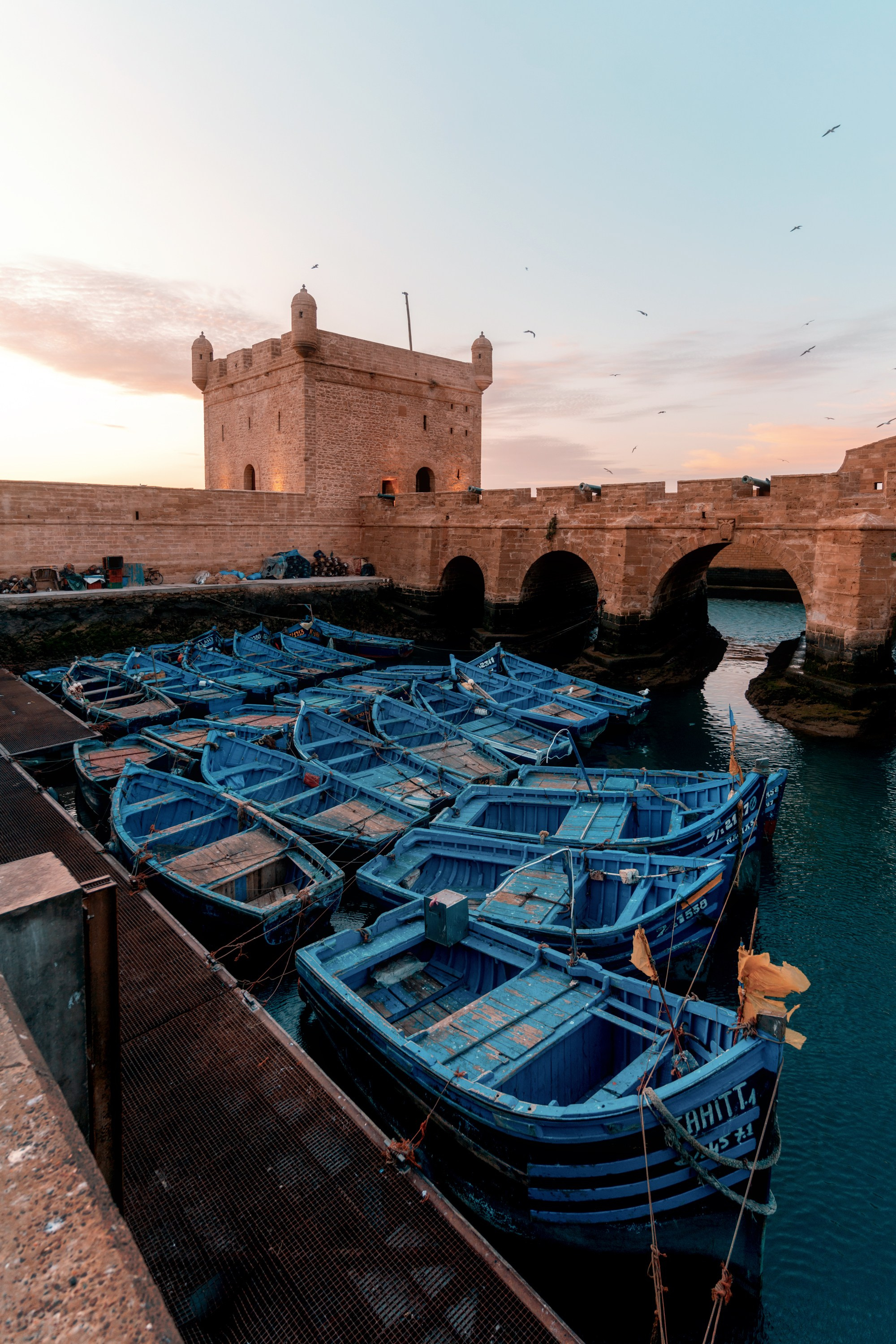 Северная Африка: Тунис, Марокко. Фотограф в Хабаровске. Фотография за 24 часа