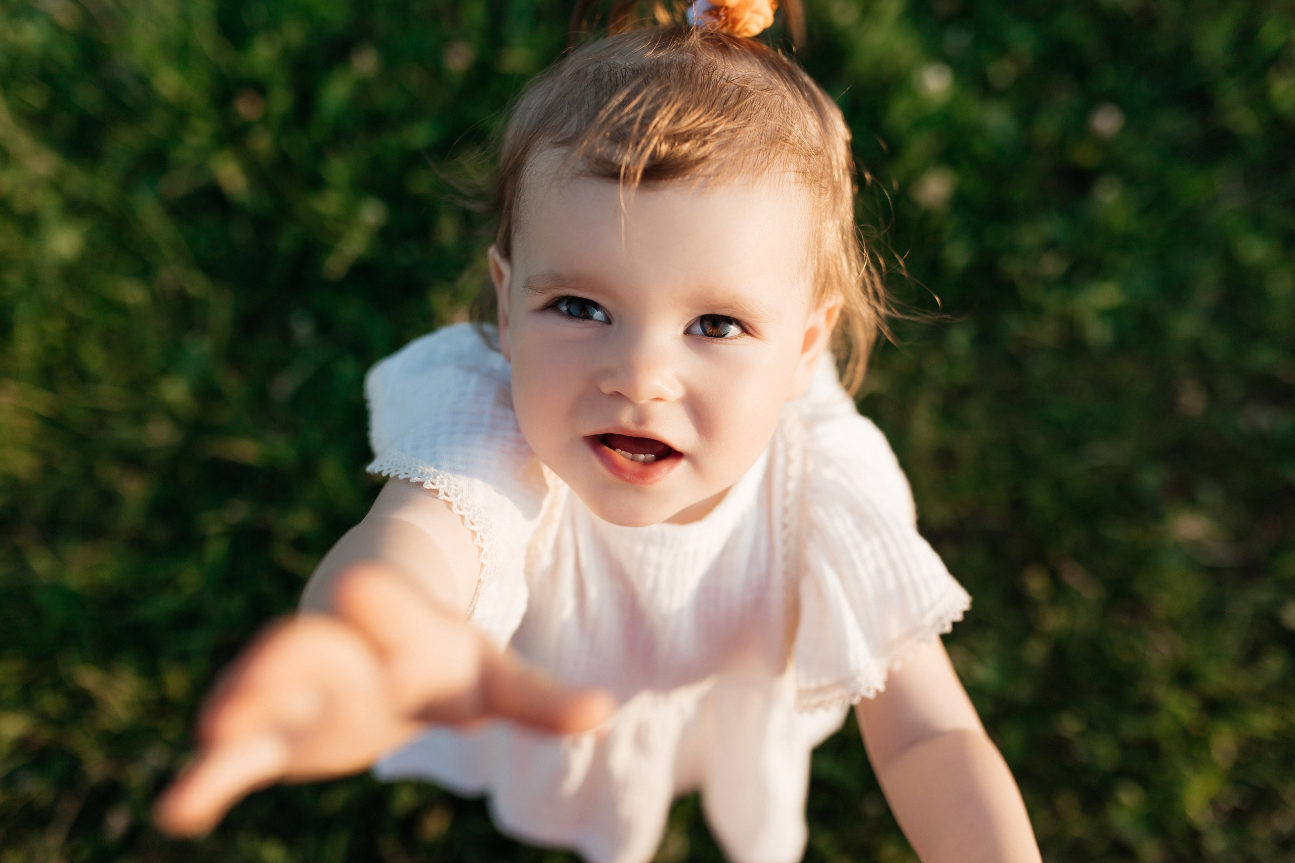 Rose. ФОТОГРАФ