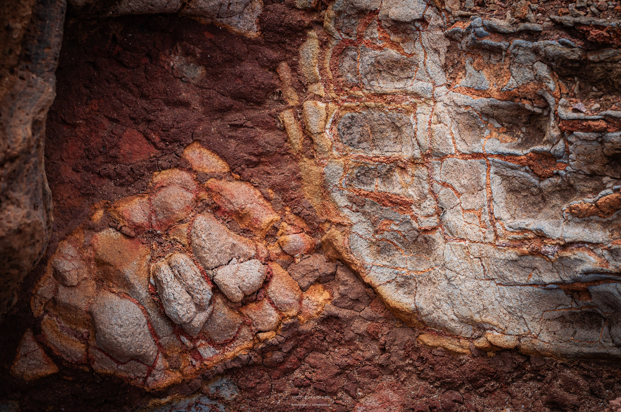 Осязаемая красота. Авторские стильные фотокартины