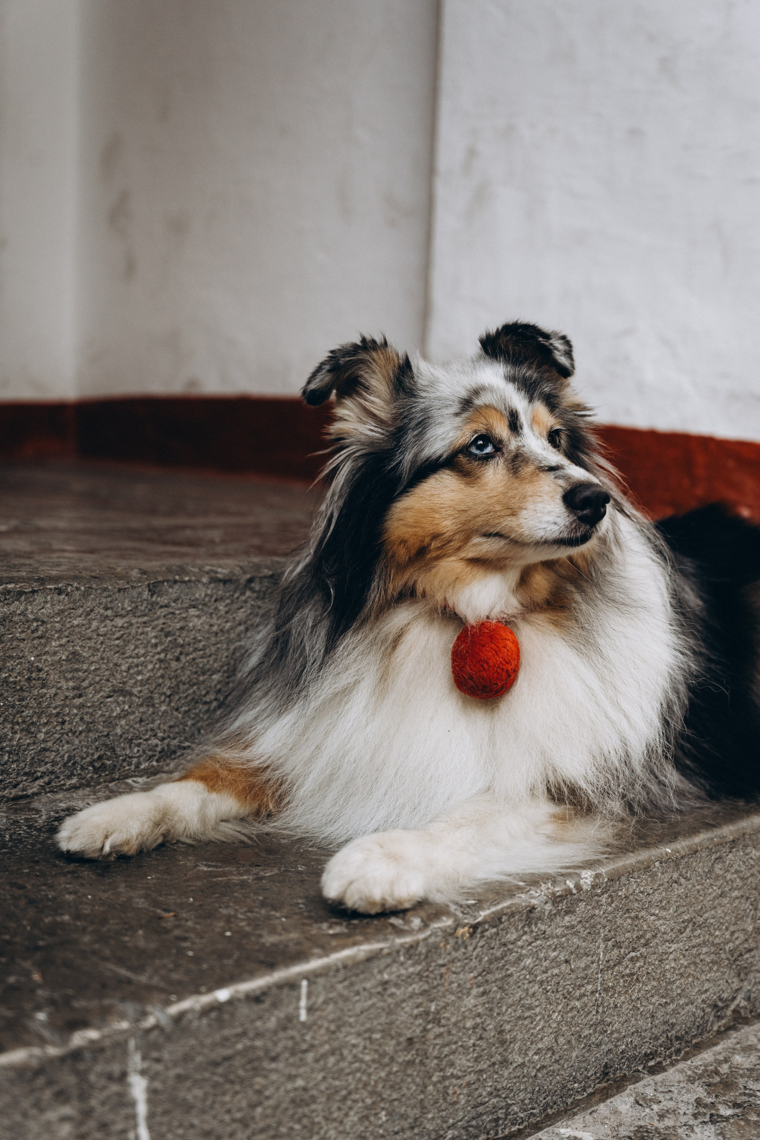 Яна и Холли. Мария Кобзева, фотограф в Ялте, Крым