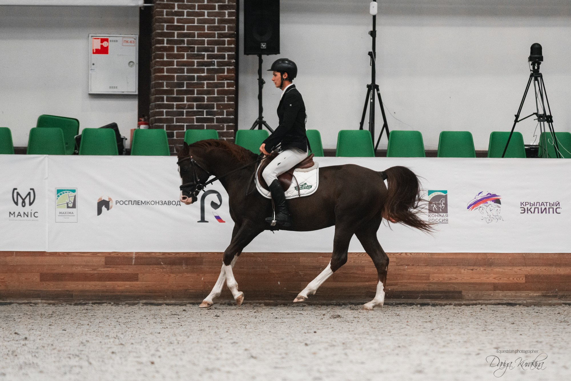 8-я международная выставка Конная Россия. Конный фотограф Куракина Дарья • Фотосессии с лошадьми
