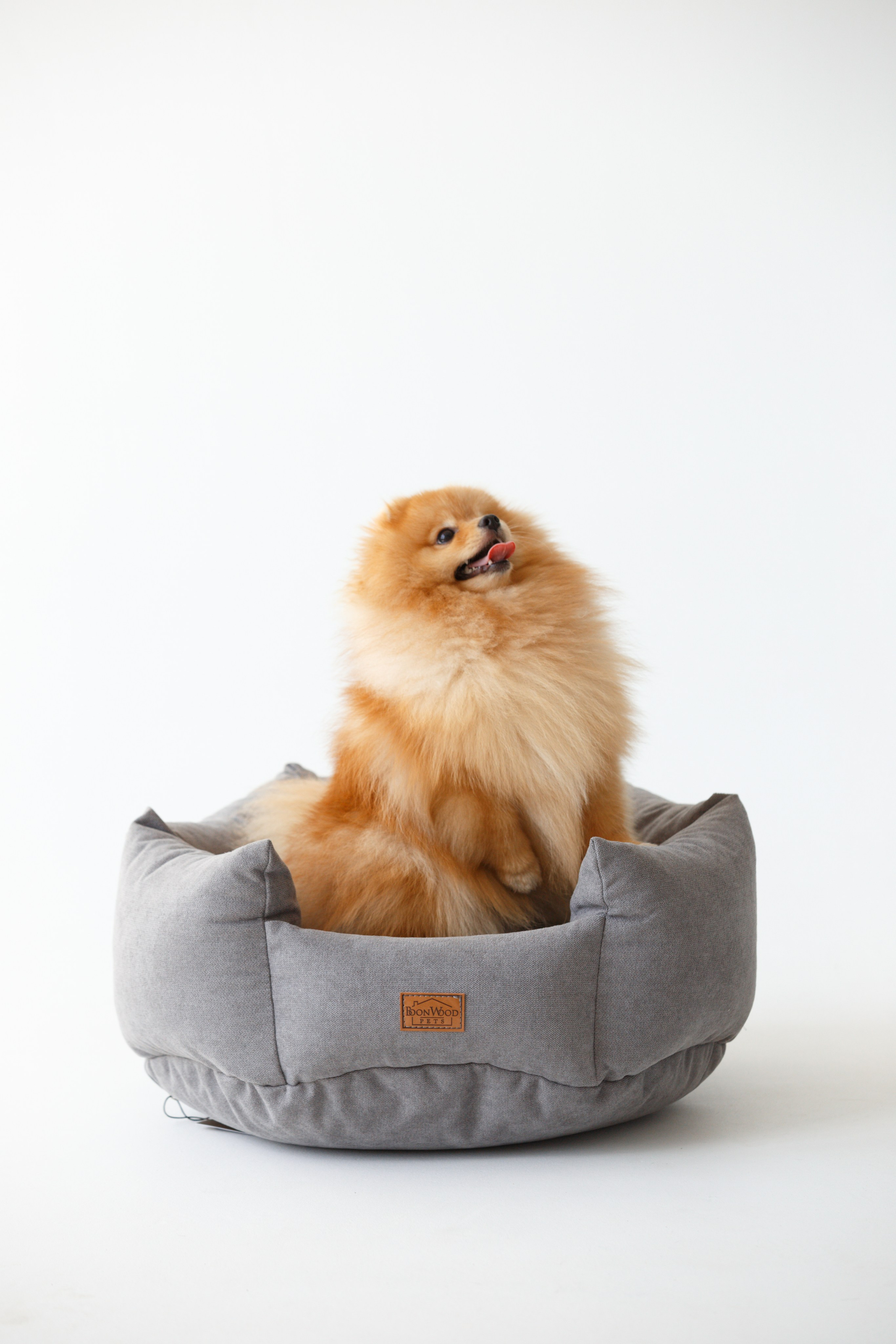 Boonwood Pets лежанки для животных. Фотограф анималист Кристина Карпова, Москва