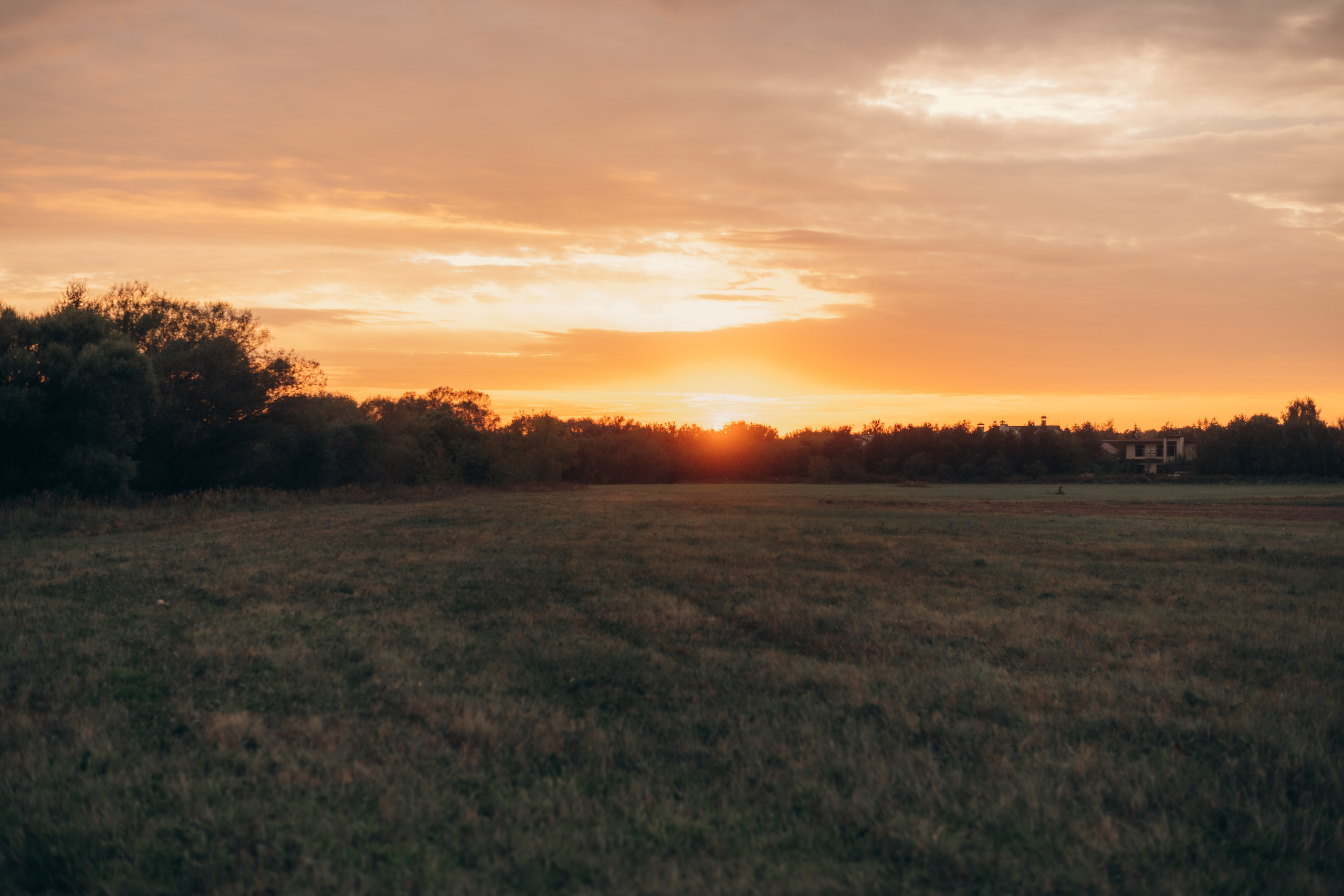 Фотосессия лавстори в поле