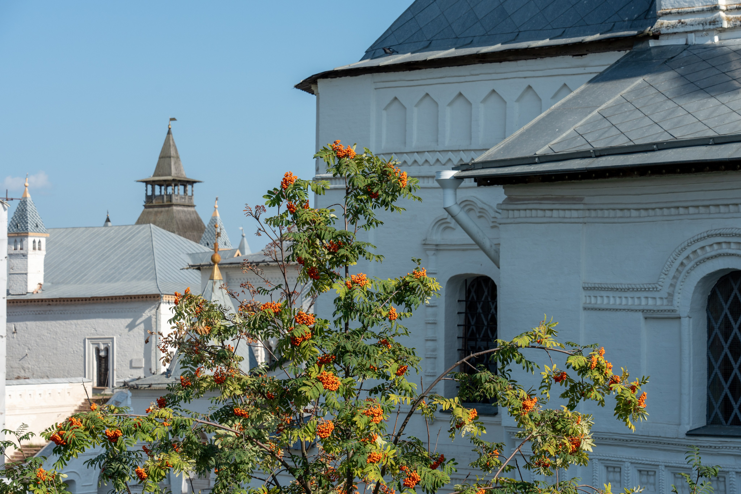 20250729-30 Ростов. Дмитрий Ремизов. Фотография, как хобби