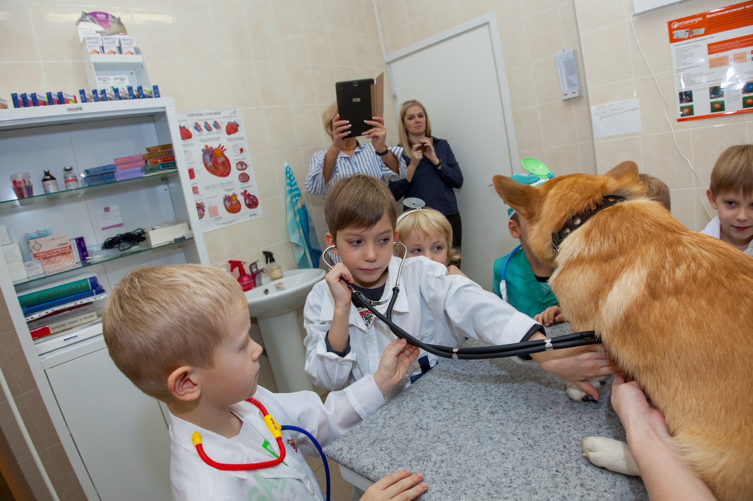Фотография для выпускных альбомов в детском саду в выпускной группе в подготовительной группе детей фотограф для выпускных альбомов фото детей в группе мастер-класс детский портрет занятия в детском саду ветеринарная клинка