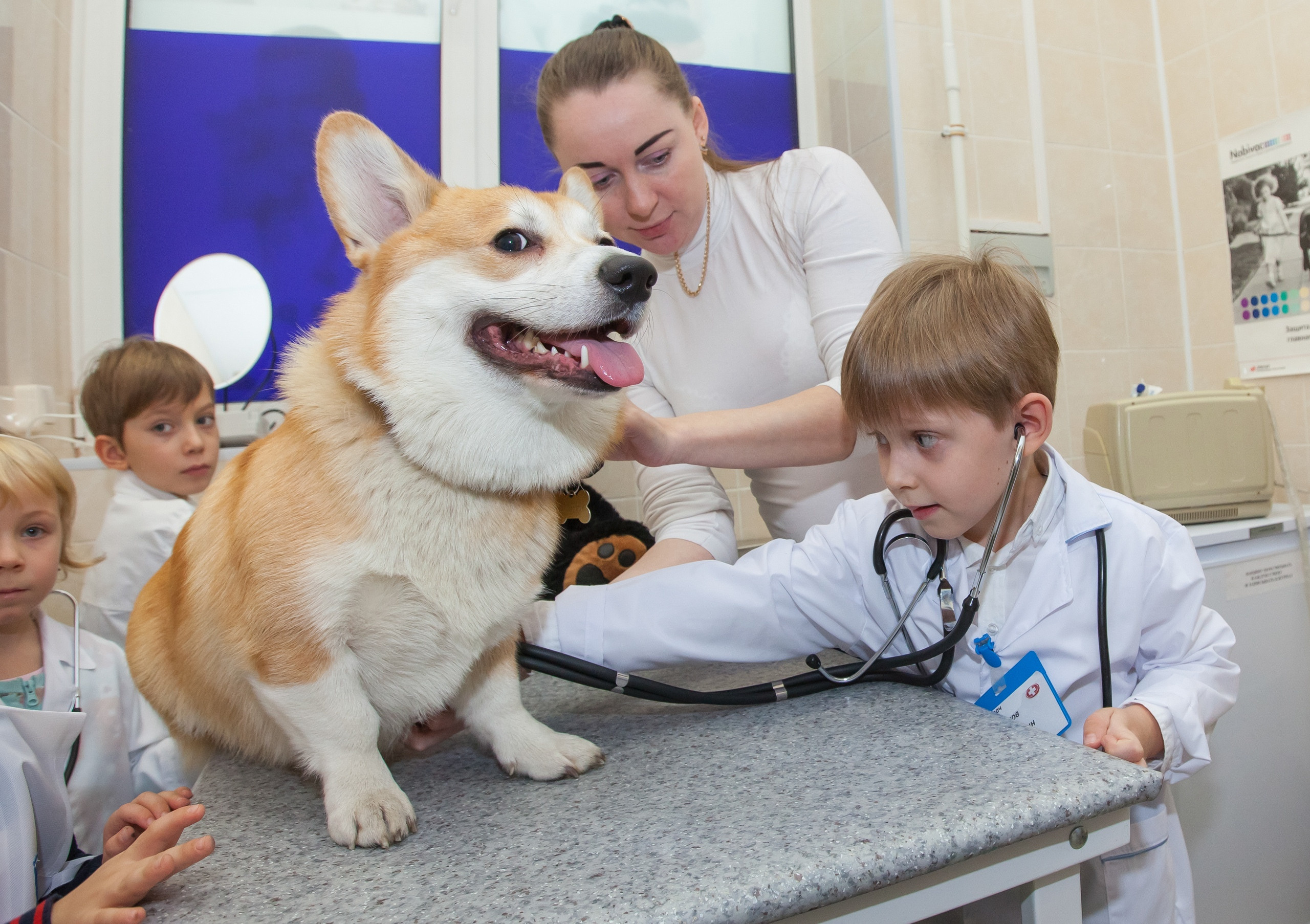 Фотография для выпускных альбомов в детском саду в выпускной группе в подготовительной группе детей фотограф для выпускных альбомов фото детей в группе мастер-класс детский портрет занятия в детском саду ветеринарная клинка