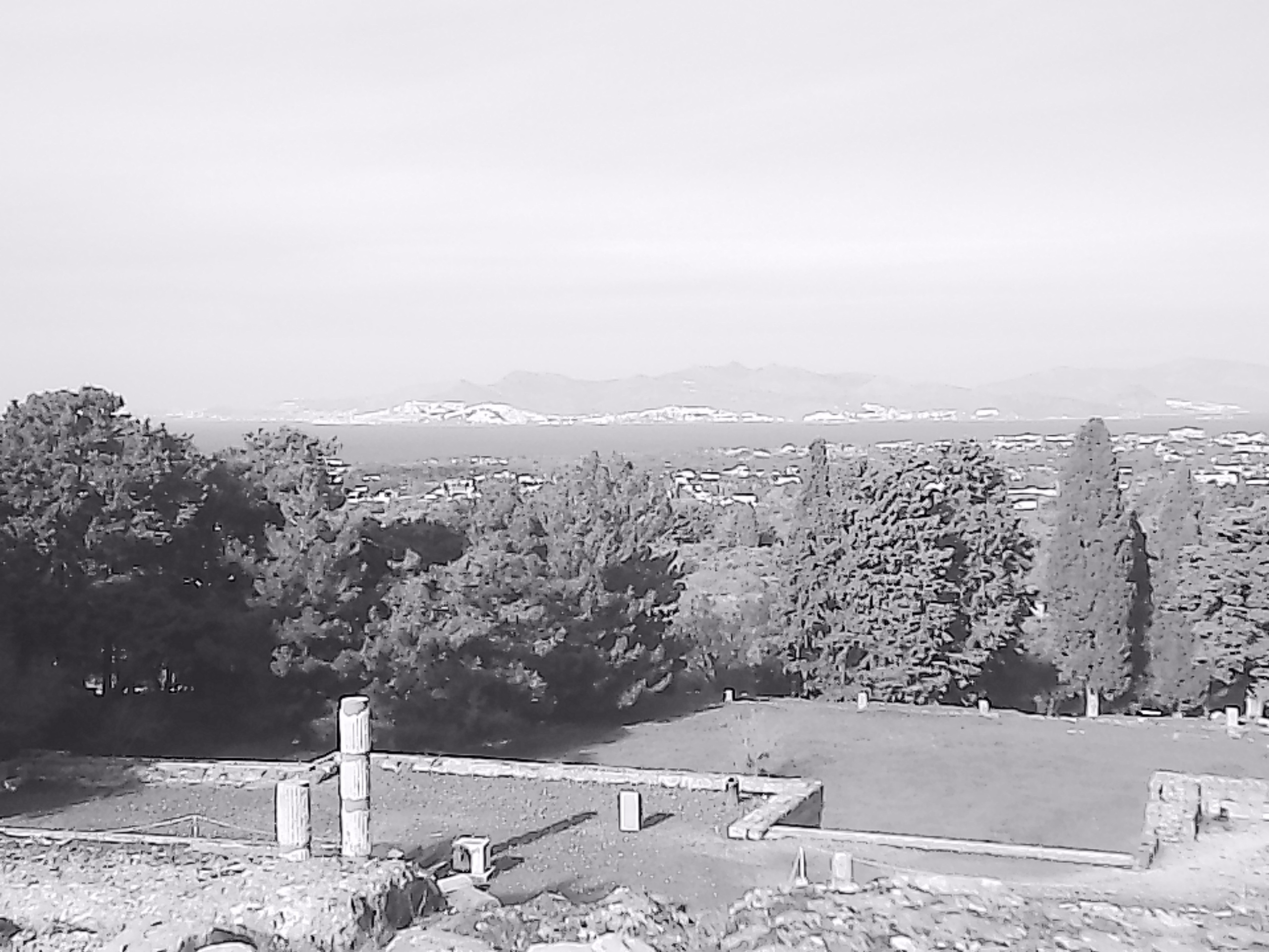 «Крошка 🐣». Anita_photo