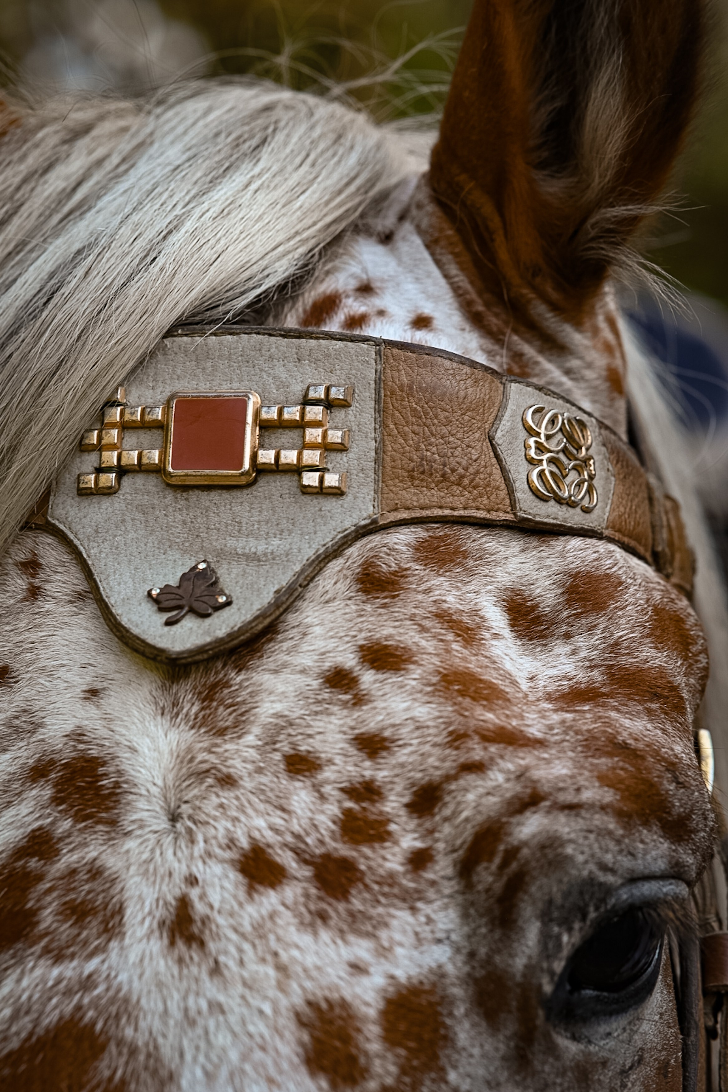 LifeStyle фотограф Анна Воробьёва Санкт-Петербург