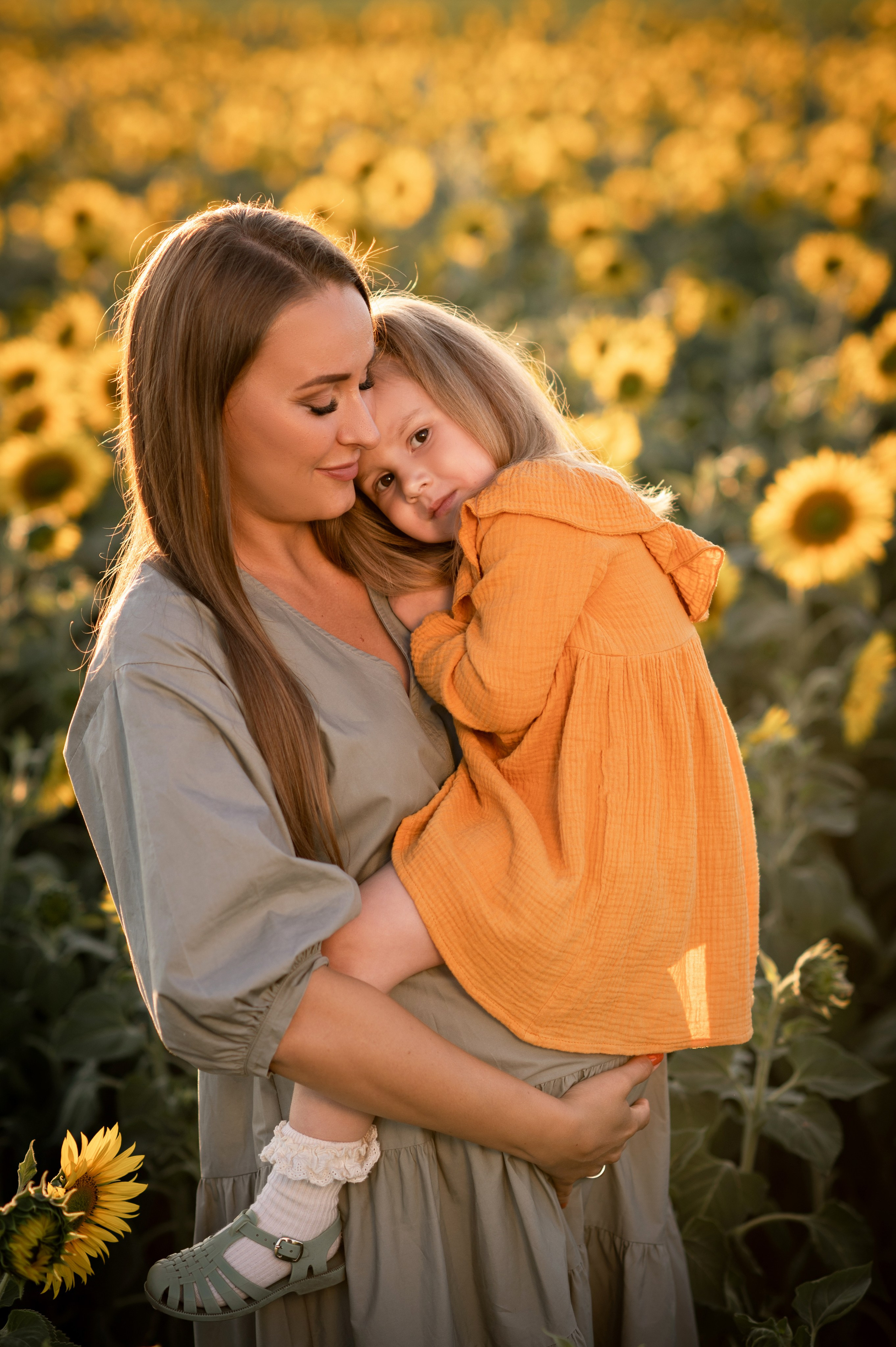 Подсолнухи. Семейный фотограф в Красноярске Надежда Кошелева