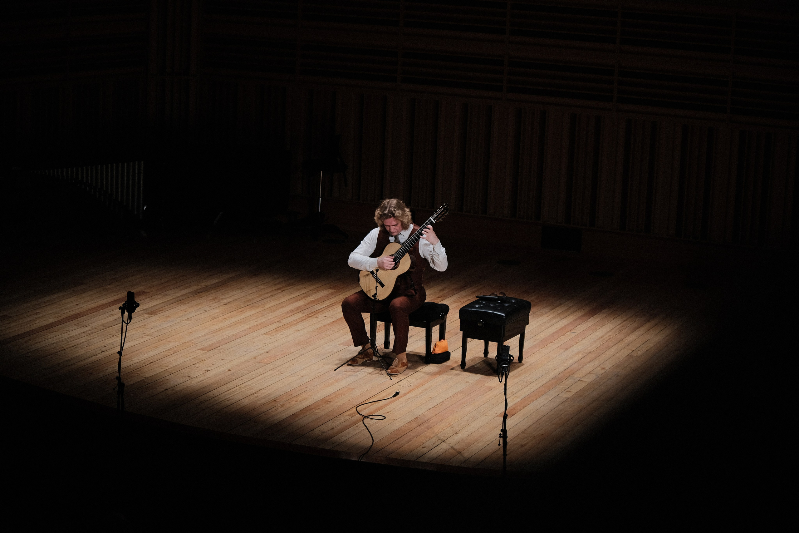 Гитарный концерт Романа Зорькина. Goncharov Tim