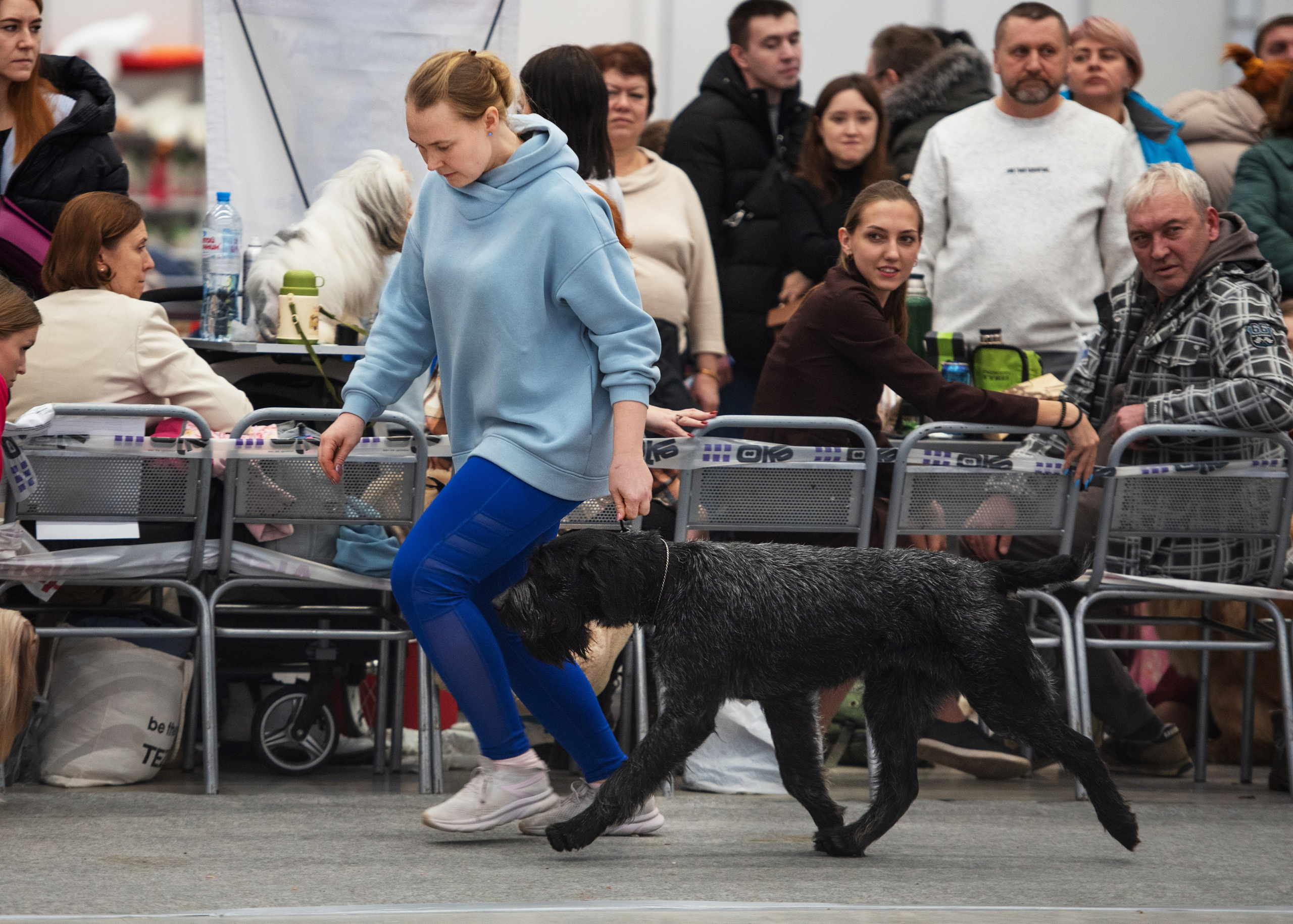 Выставки. Главная