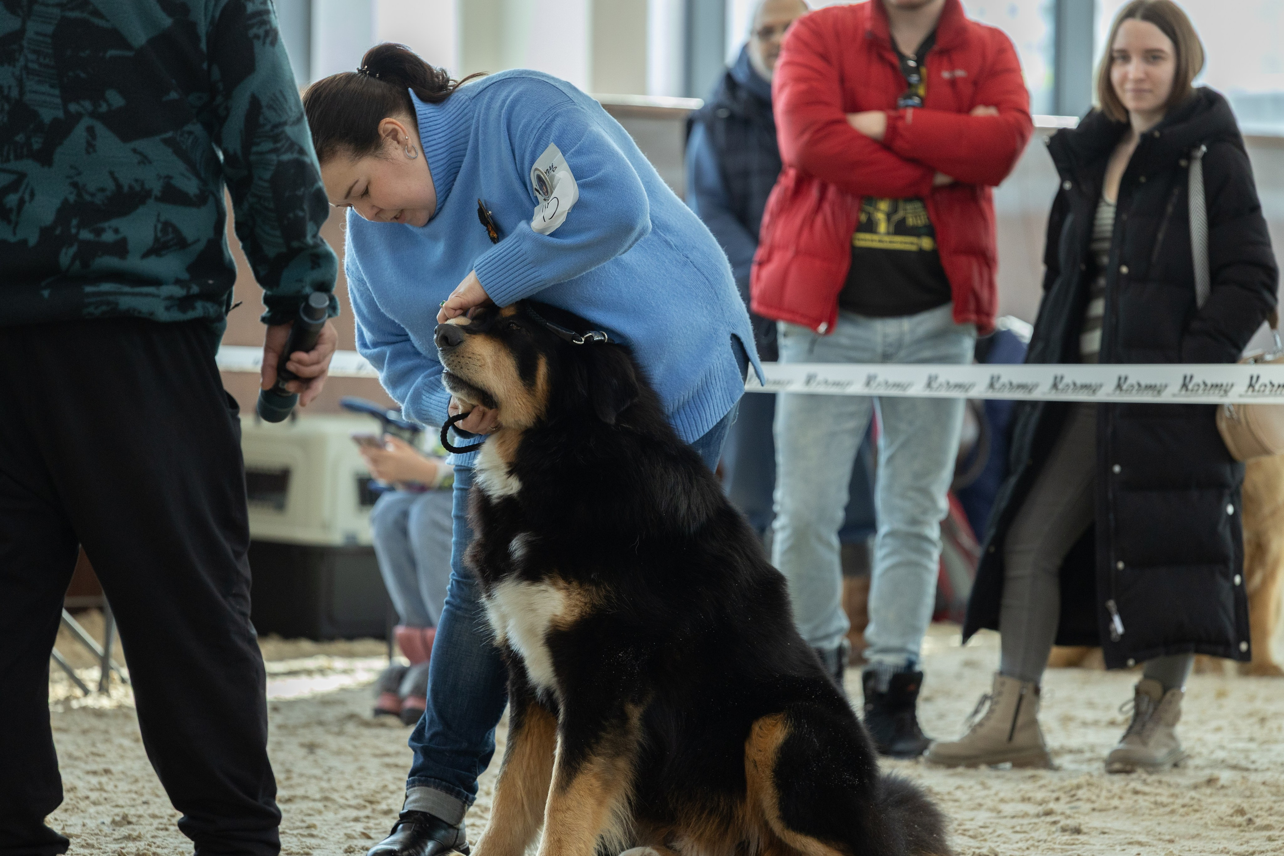 Моно Монгол Банхаров. Иркутск 2025. Фотограф-анималист|Иркутск