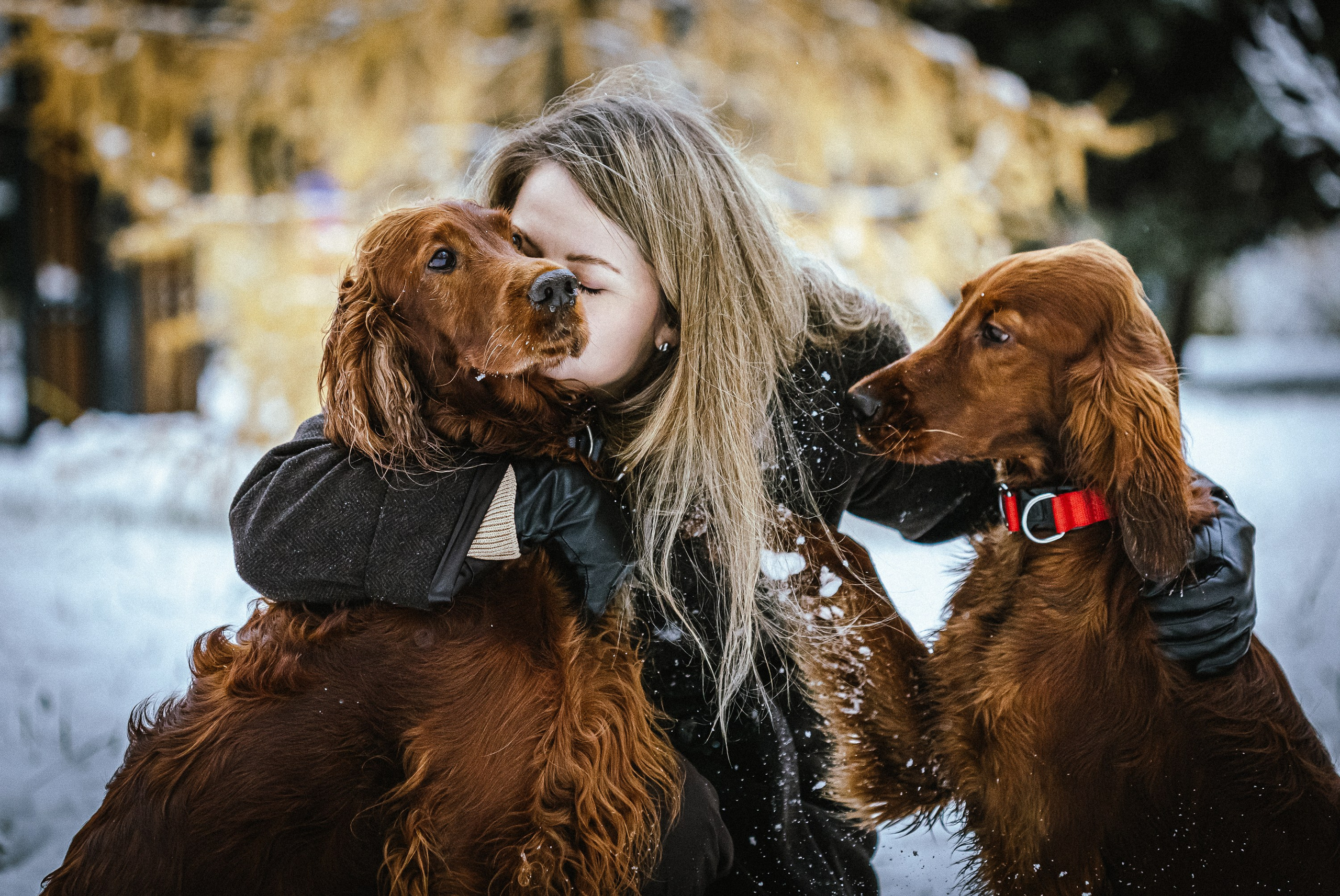 Фотосессии с животными. Добродеева Алла фотограф, Москва