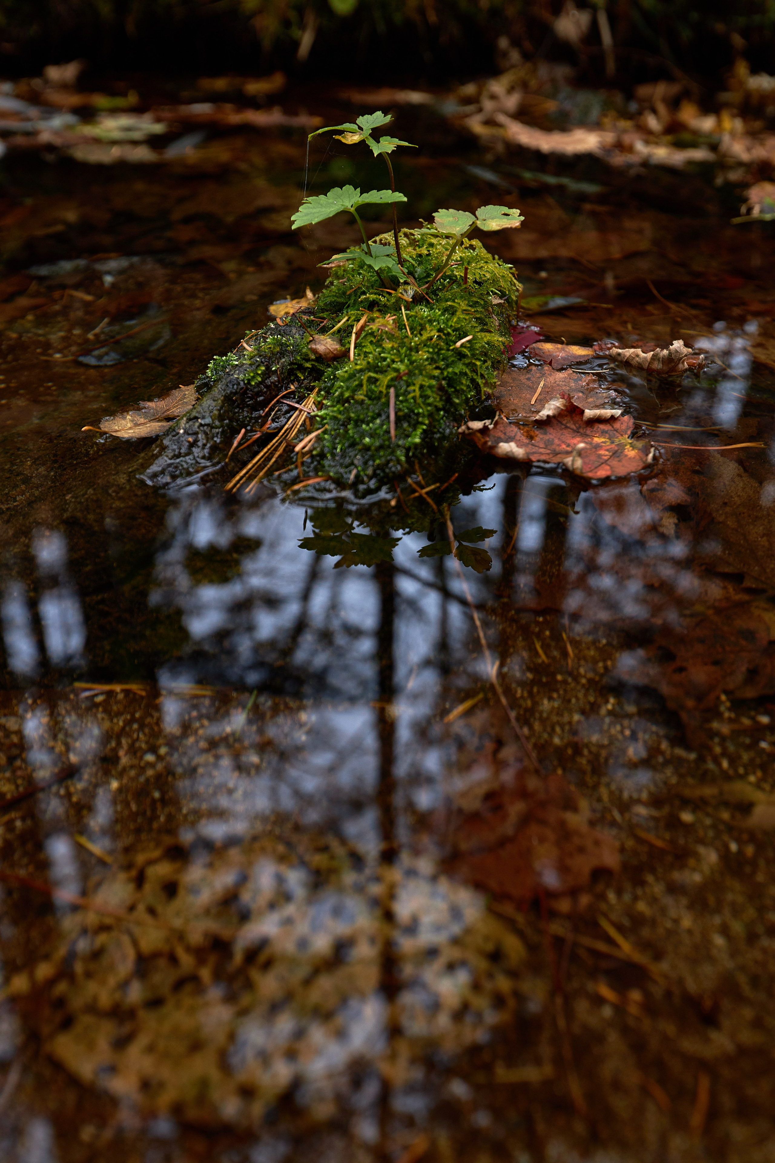 Пейзаж. Репортажный Фотограф во Владивостоке и России Осипчук Дмитрий