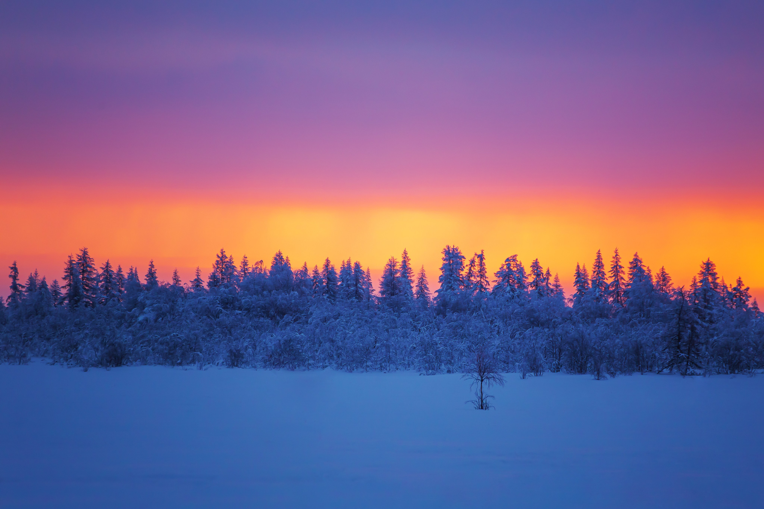Ненецкий автономный округ. Тревел-фотограф Елизавета Ларионова