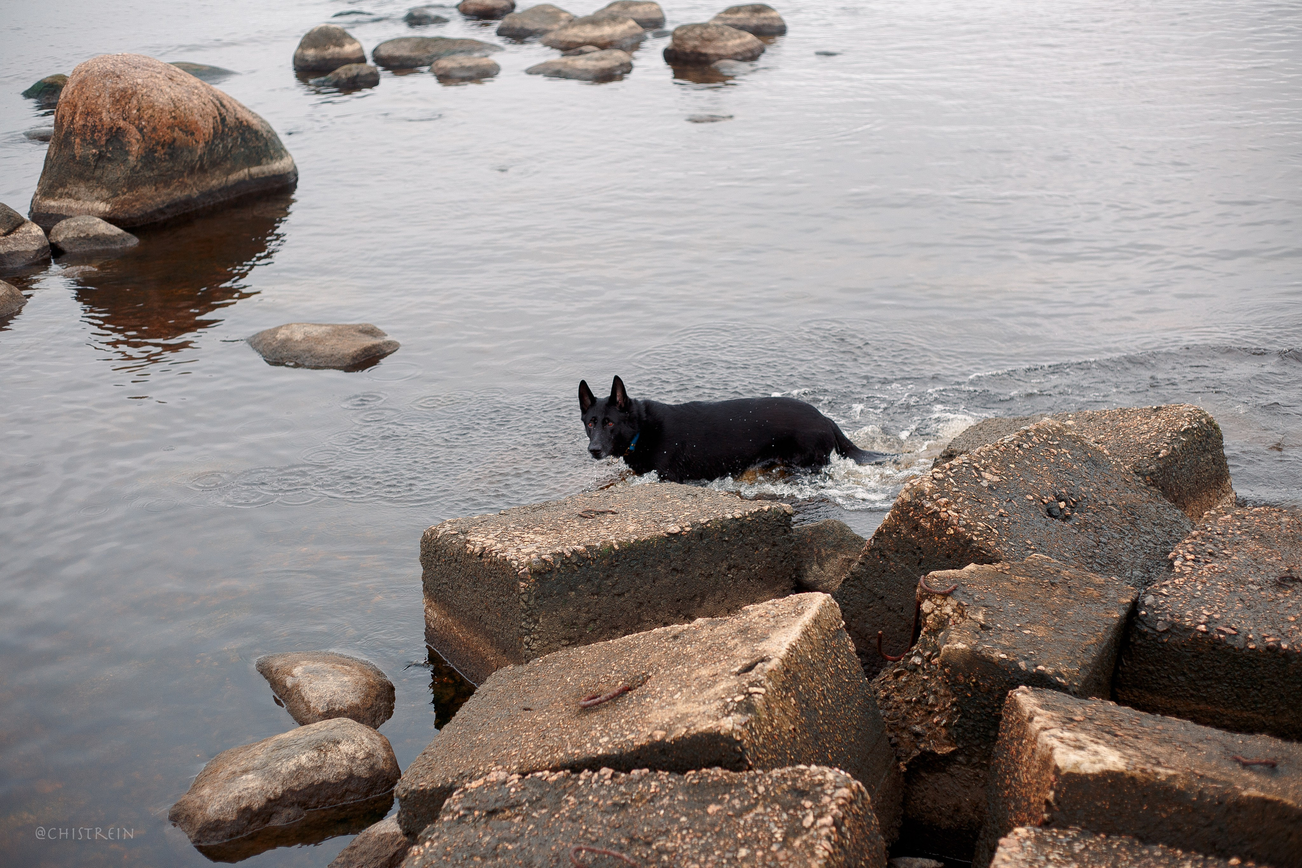 Дальний пирс. Фотограф-анималист Наталия Чистюхина в г. Сосновый Бор и ЛО