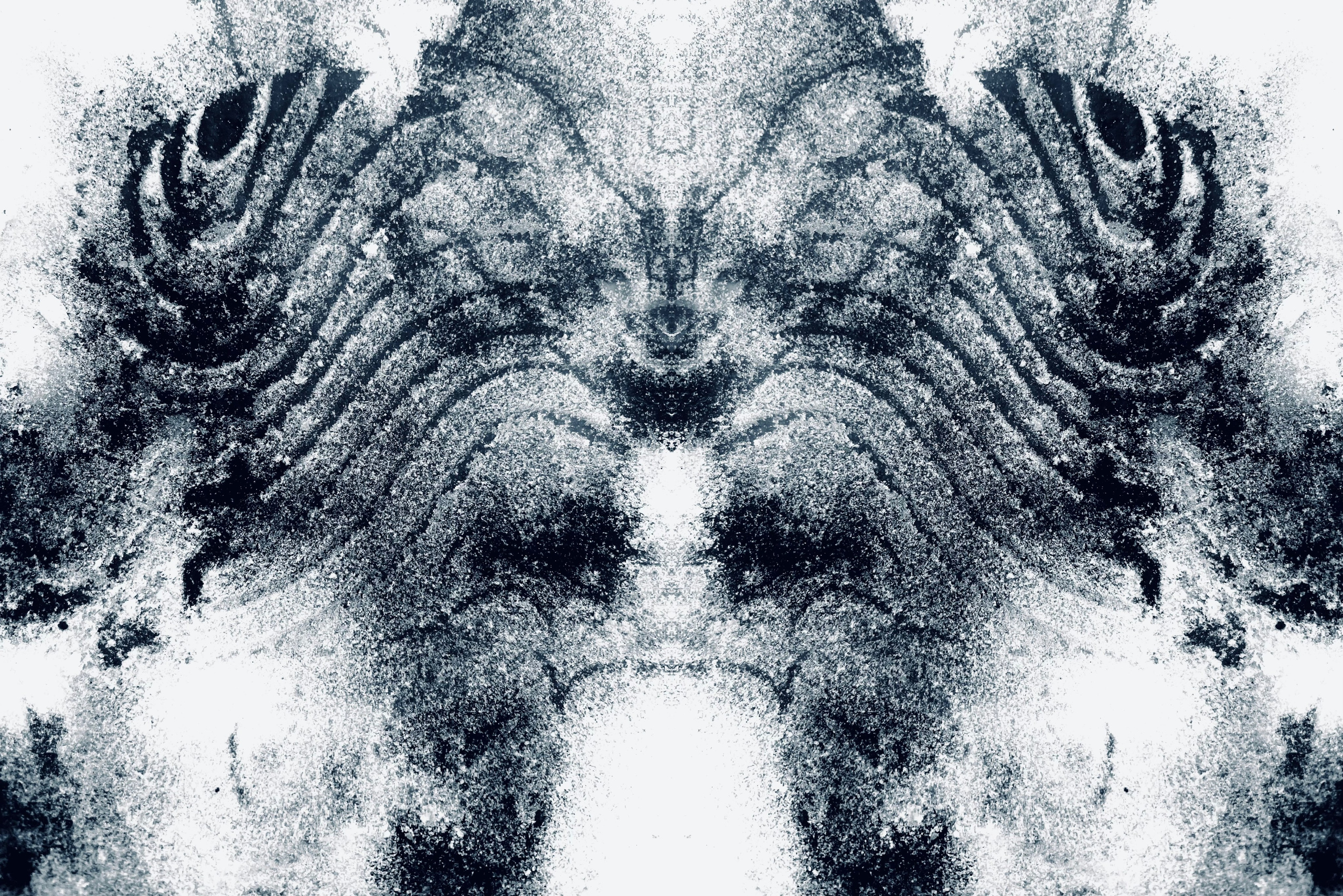 Urban flowers. Арт — фотограф Евгений Наймушин Новокузнецк