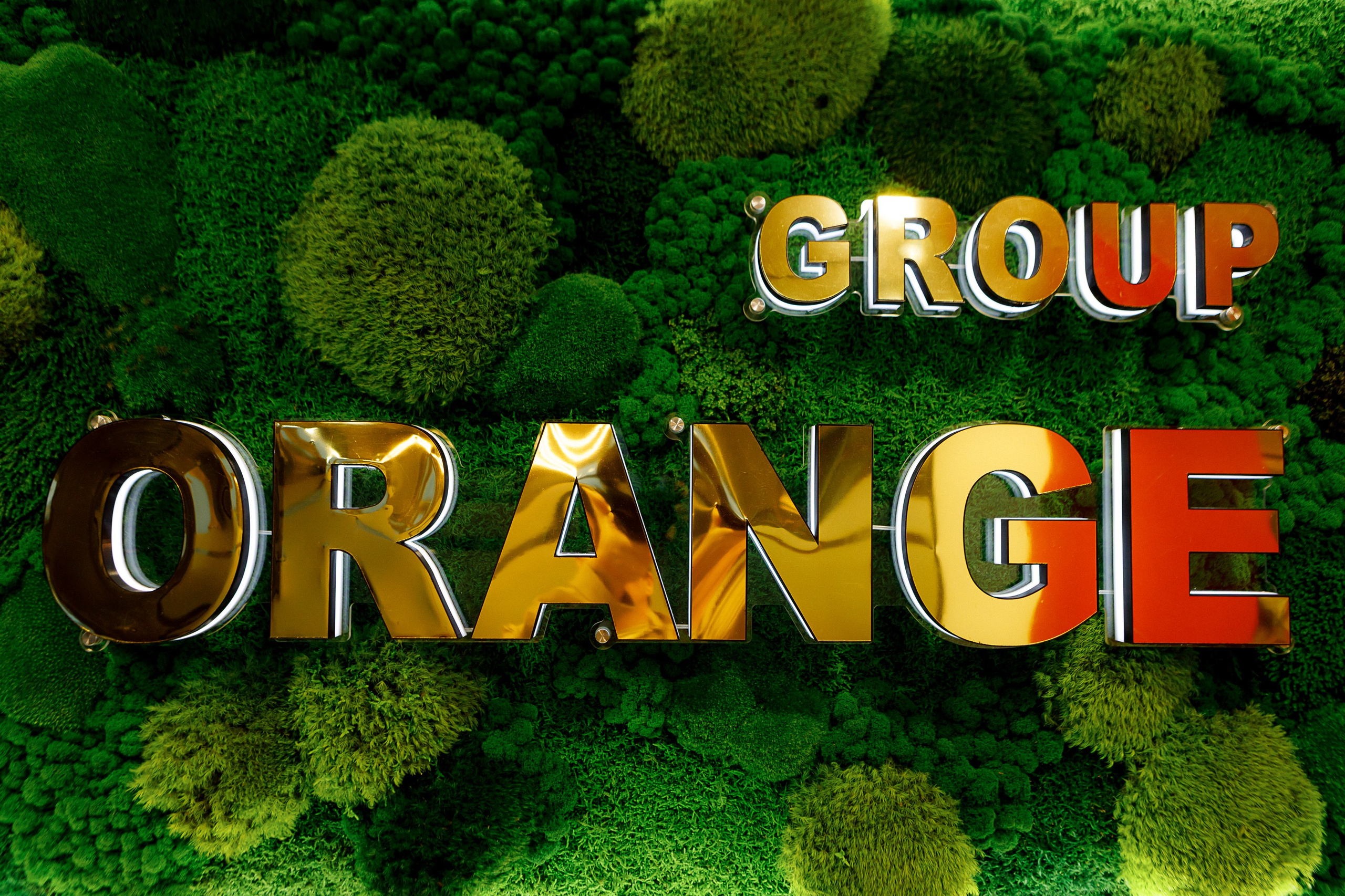Orange Group. Photographer in Georgia Pavel Sharnikov