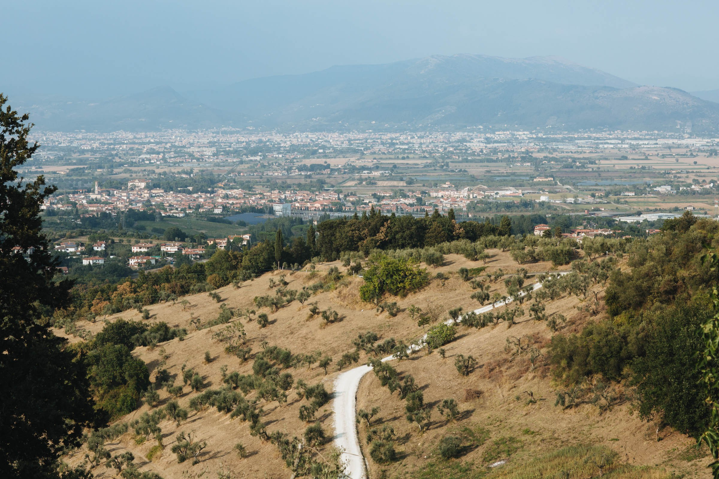 DAN & ALEXA. Свадебный и Семейный фотограф в Санкт-Петербурге и Москве Иона Дидишвили