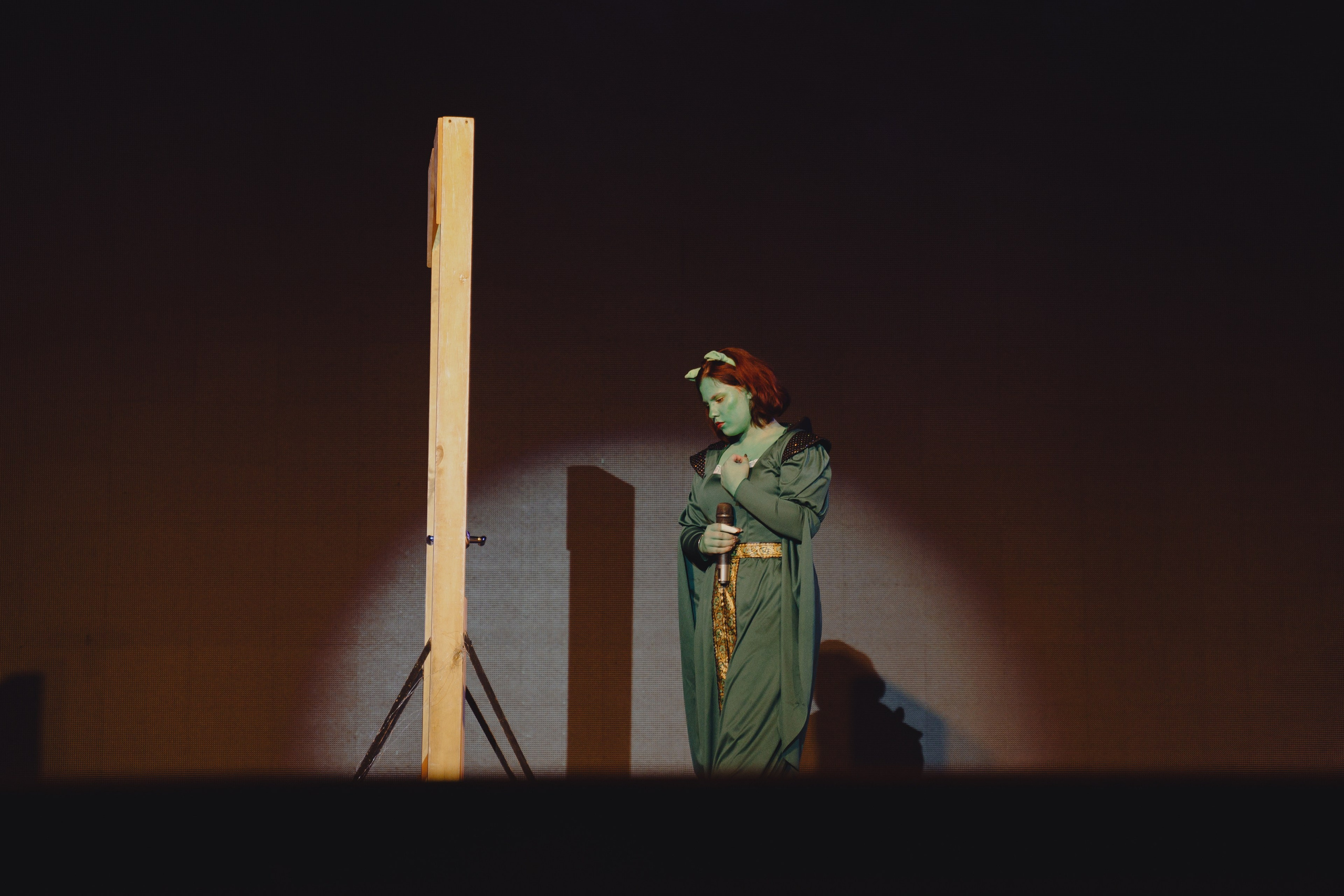 Концерты. Фотограф Екатерина Огродничая Тюмень