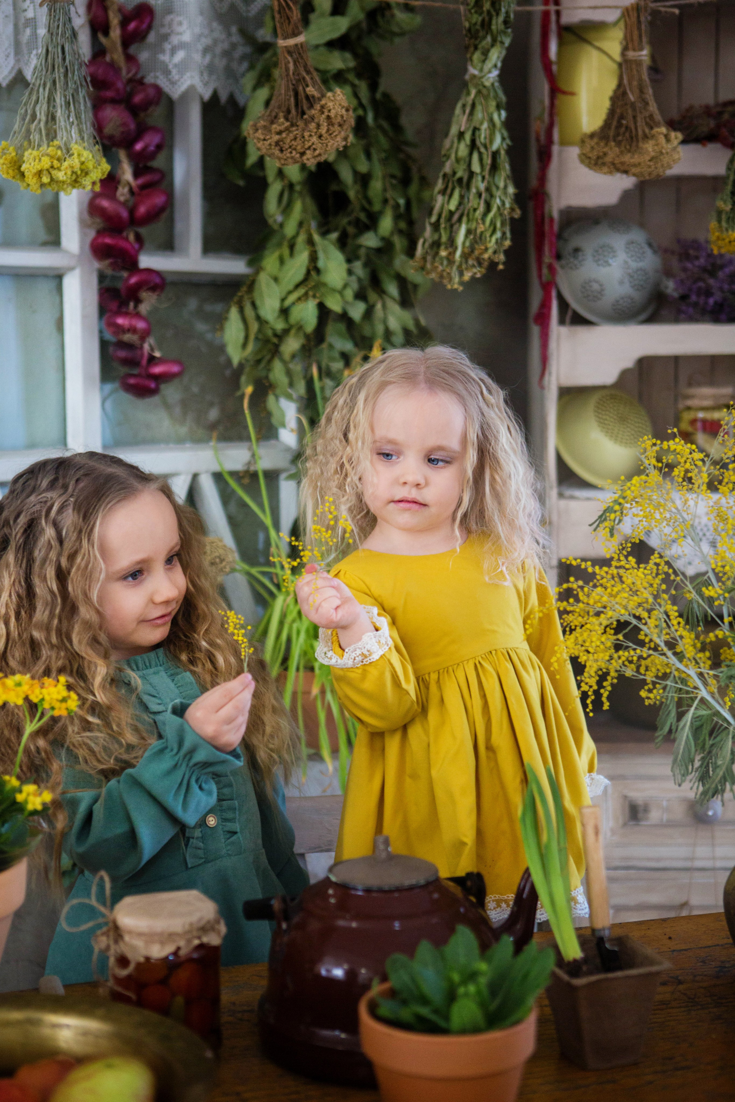 «Мимоза». студия «Авторская». Свадебный семейный и детский фотограф в Краснодаре Карина Федоровская