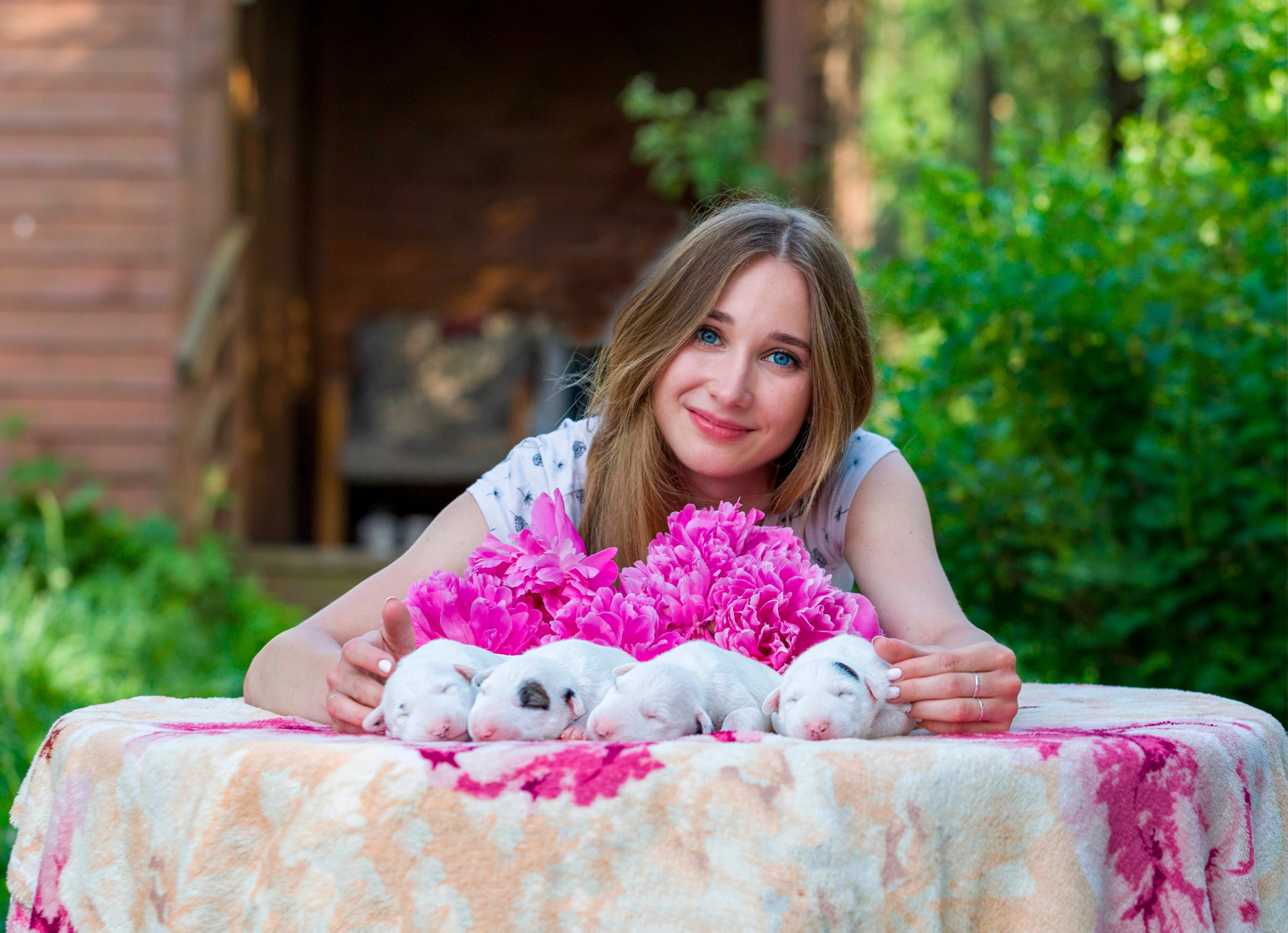 Стандартный бультерьер. Фотограф — анималист Татьяна Ли