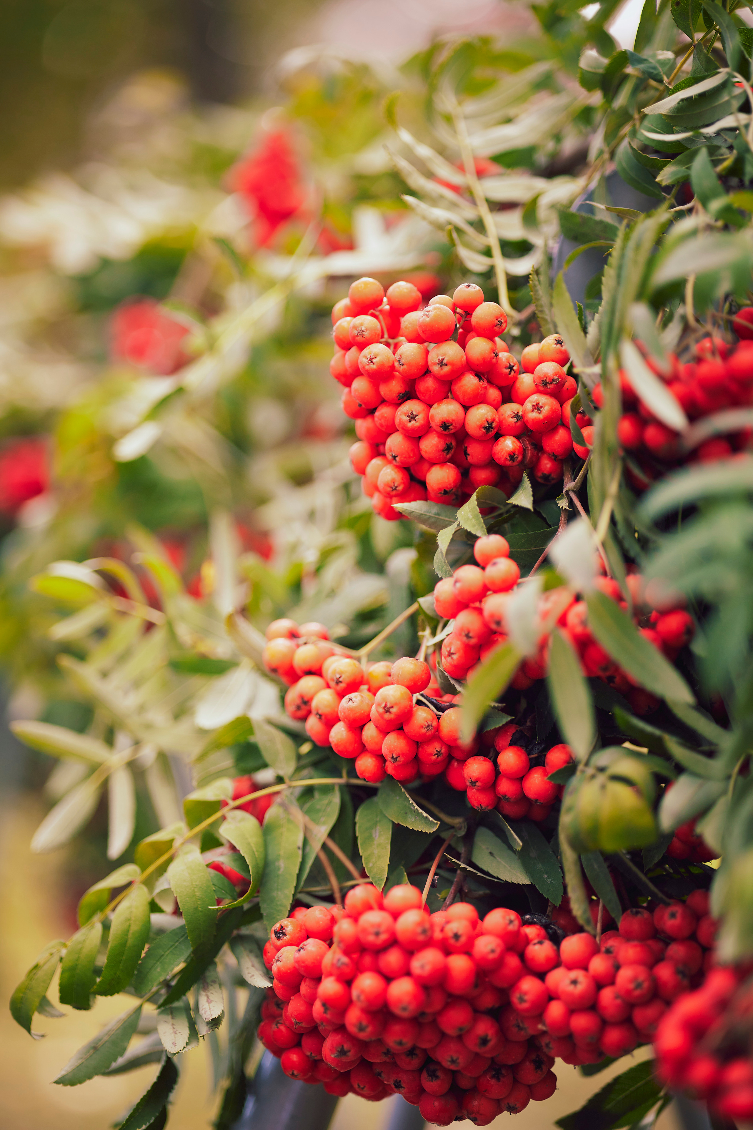 Отзывы. Фотограф Иван Кузьмин на любое Ваше мероприятие
