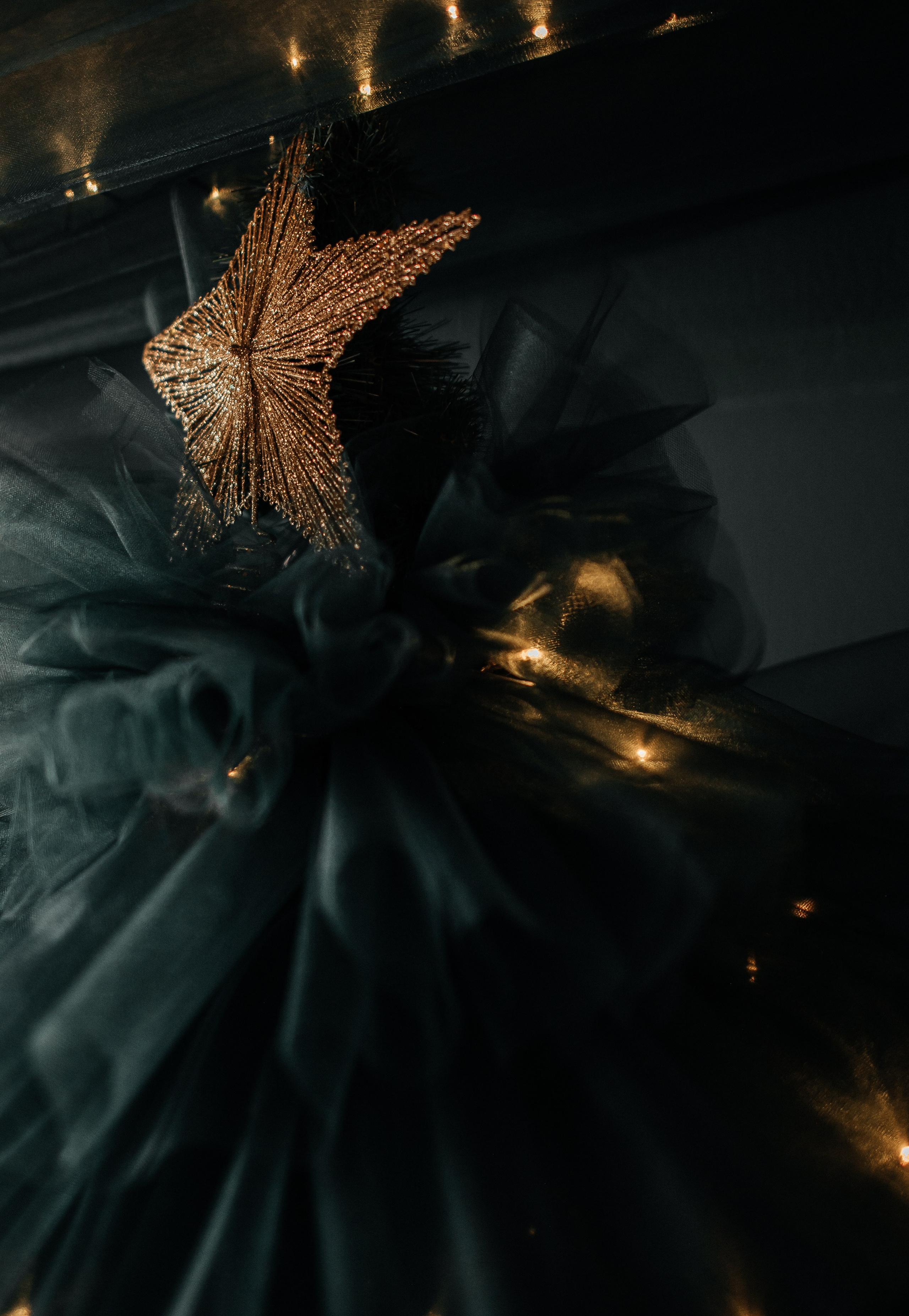 Look. Свадебный фотограф в новокузнецке