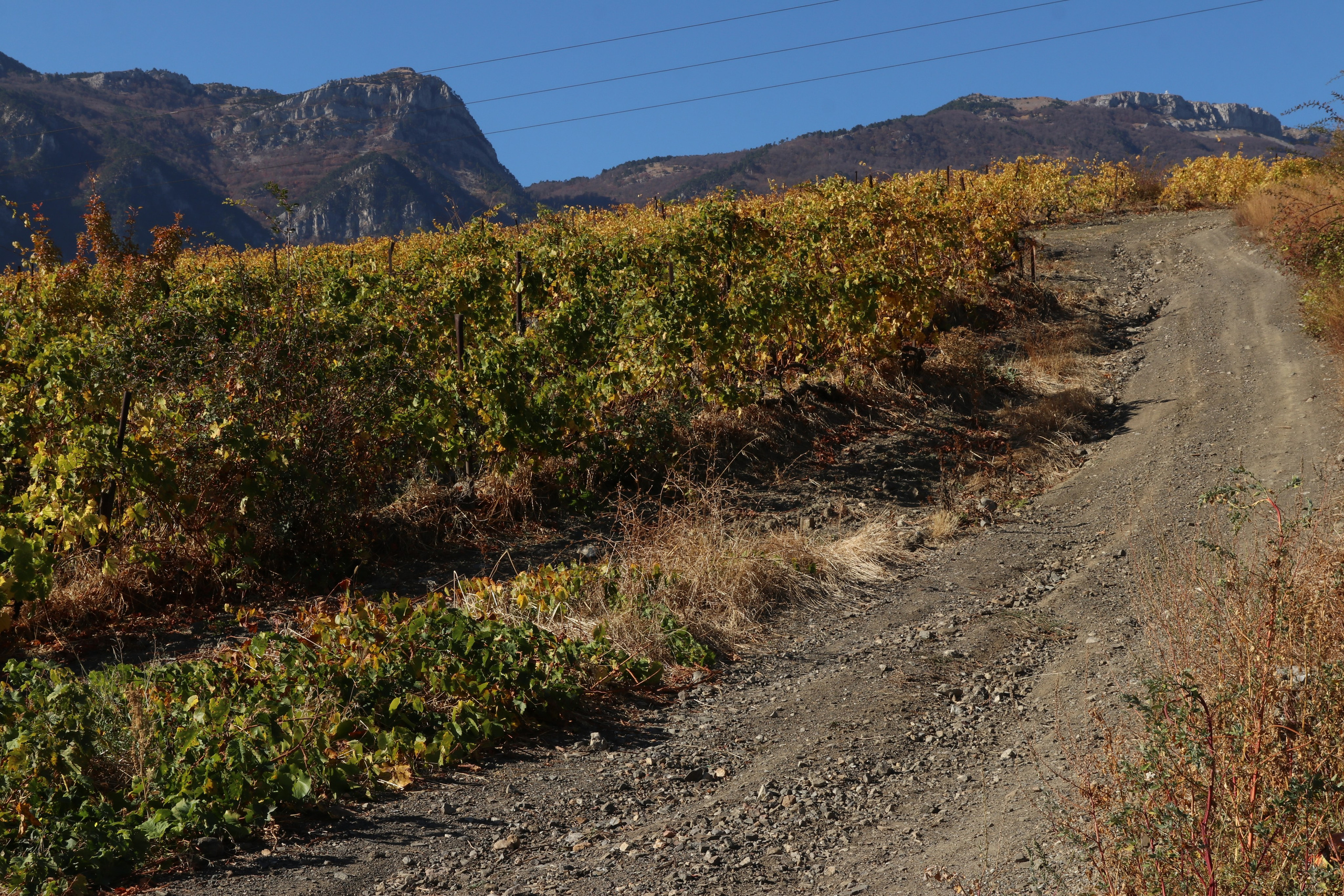 Крым. ЮБК (Гурзуф, Судак и их окрестности). Ноябрь 2023. Путешественник-фотограф из Санкт-Петербурга Татьяна Свистулина