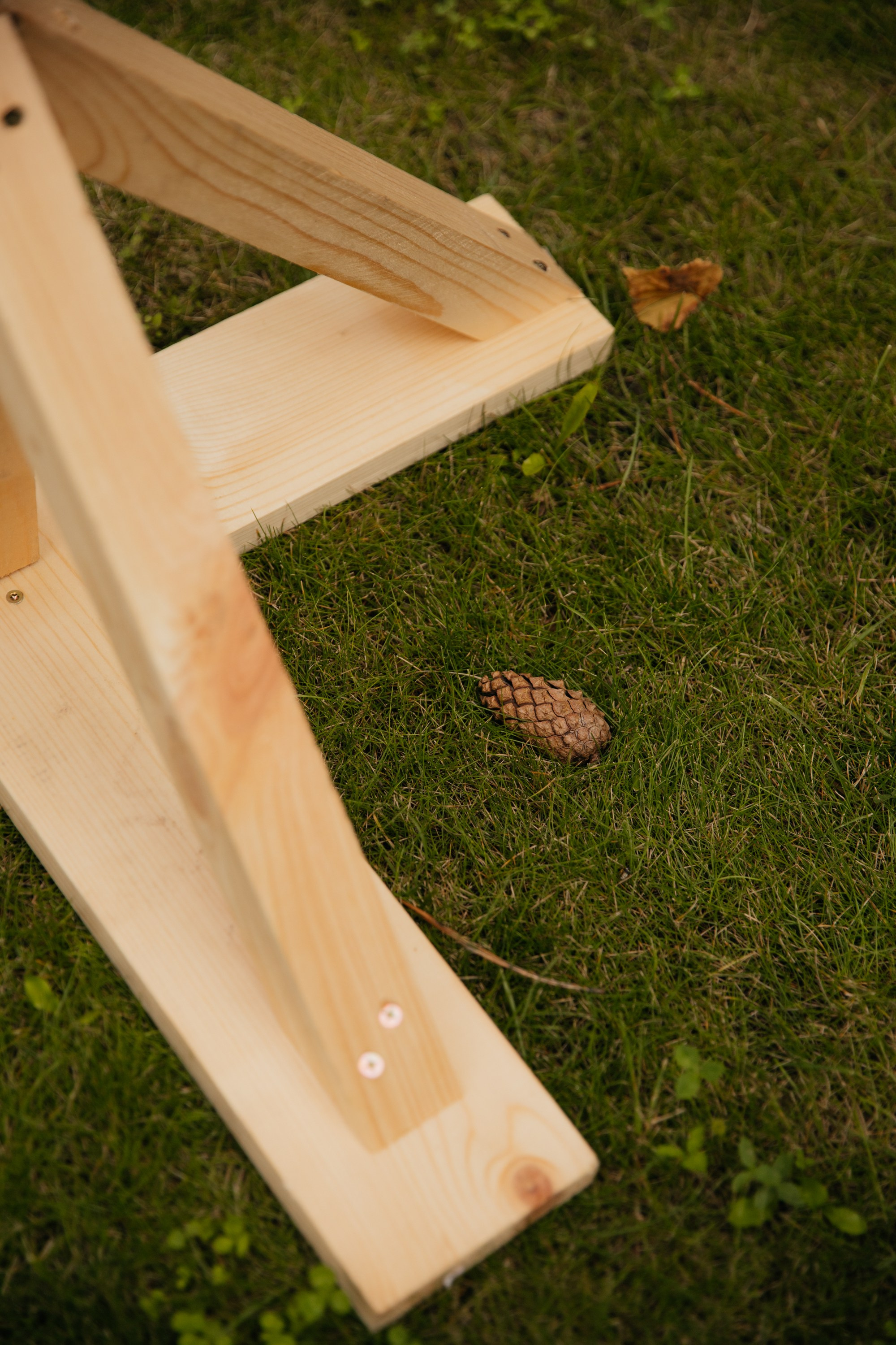 Николай и Татьяна. Фотограф Барнаул Полина Теплова