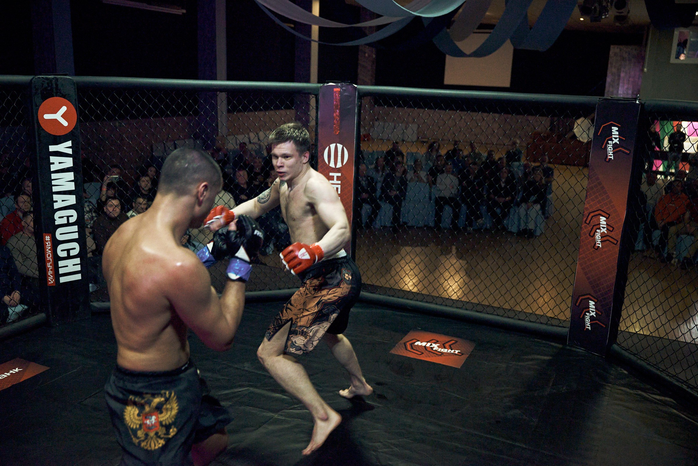 Бои. Маляревич Дмитрий свадебный фотограф