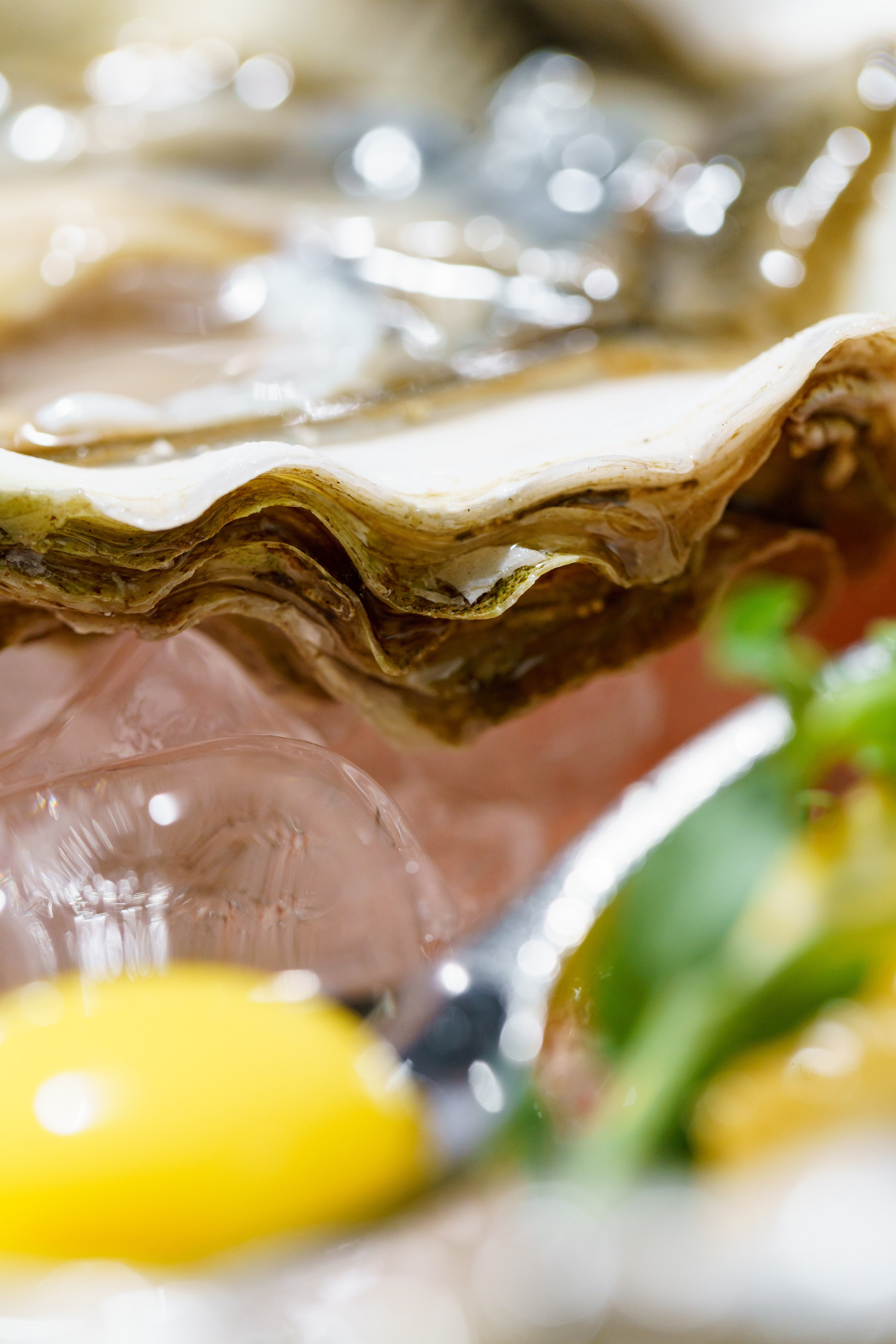 Ресторан «Murmansk». Контент фотограф в Москве Александр Хитько