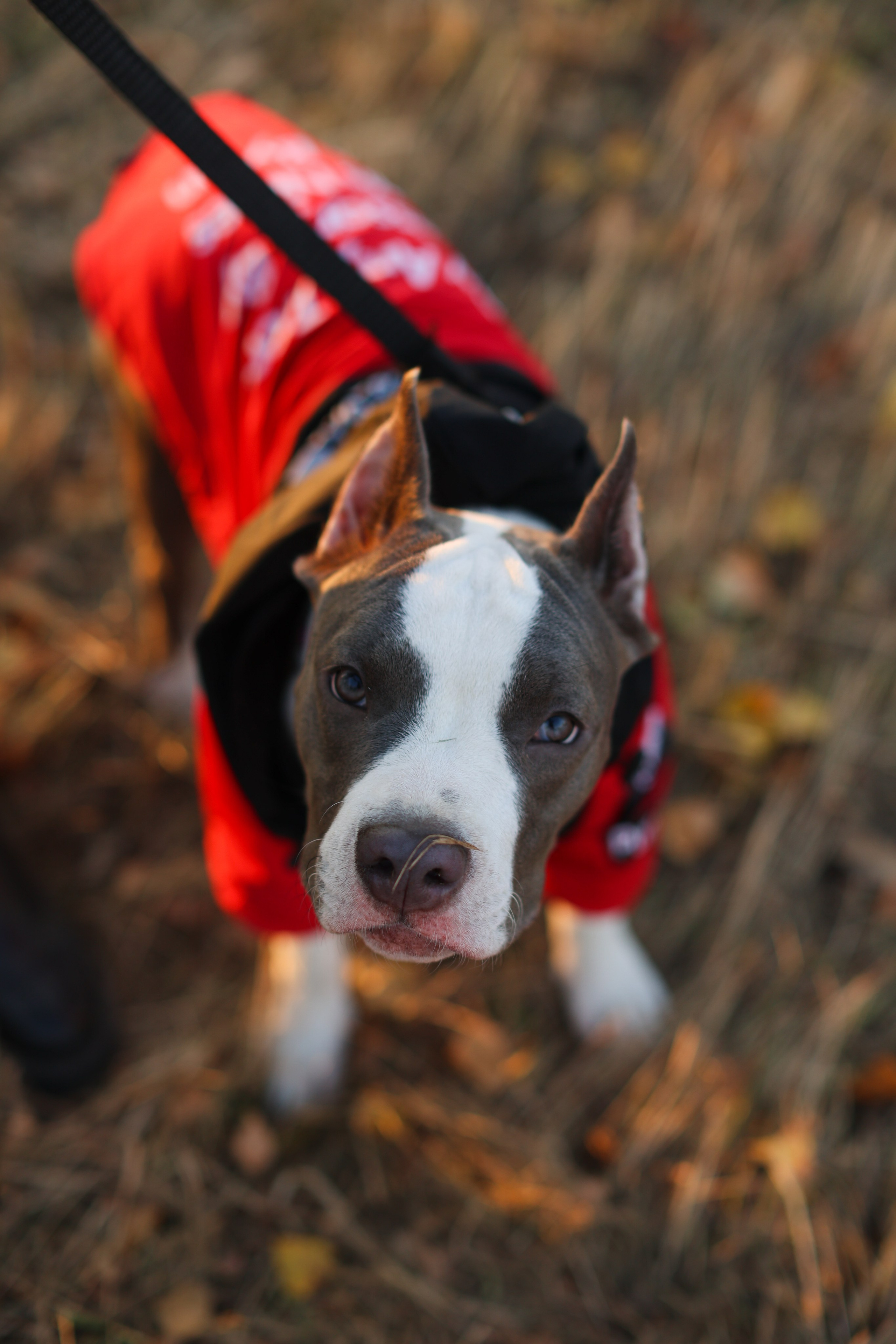 Осень. Art my Pho