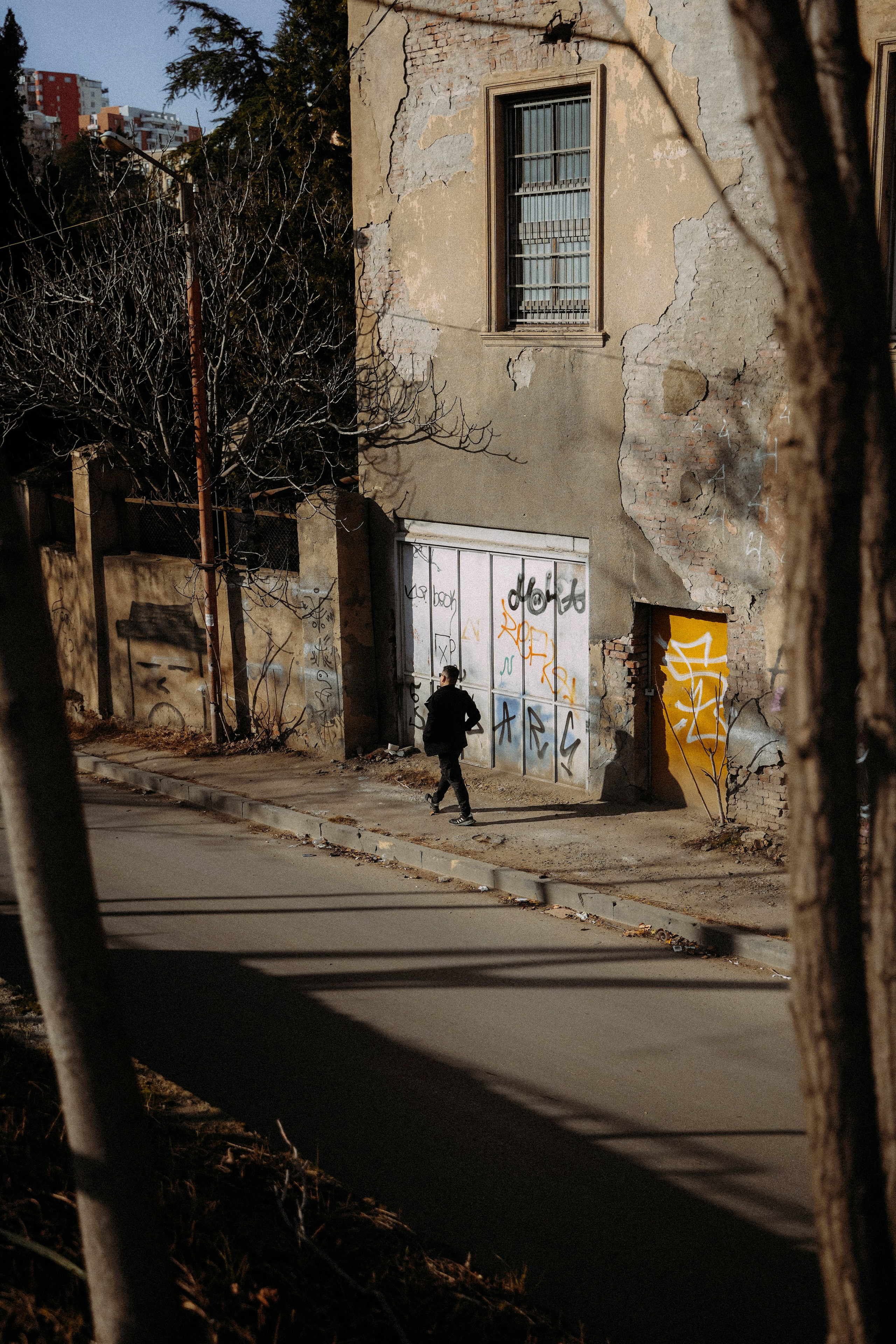 ТБИЛИСИ 2023-2024. Стрит-фотография, полная абсурда, идиотизма и красоты