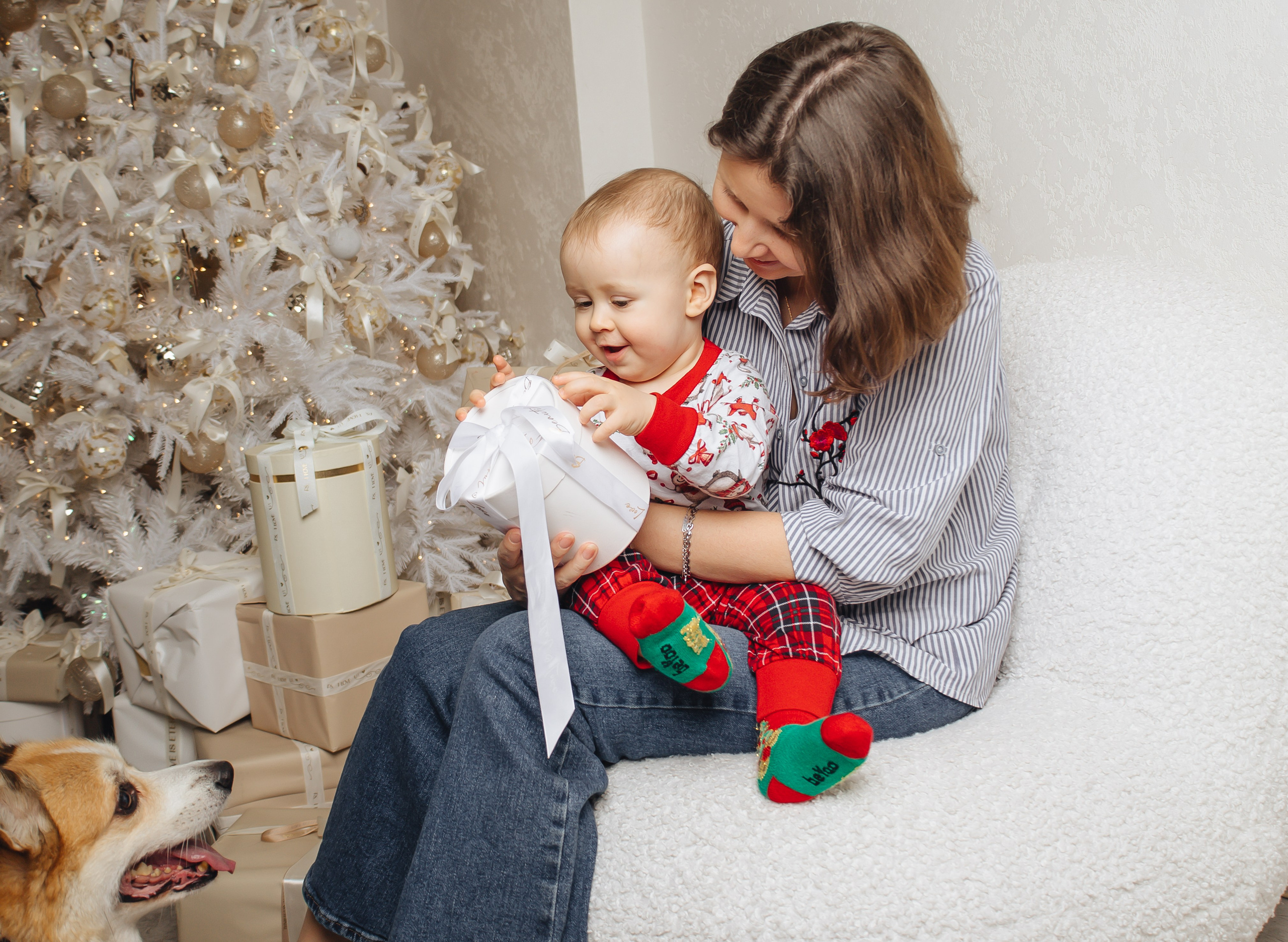 Норд и его семья