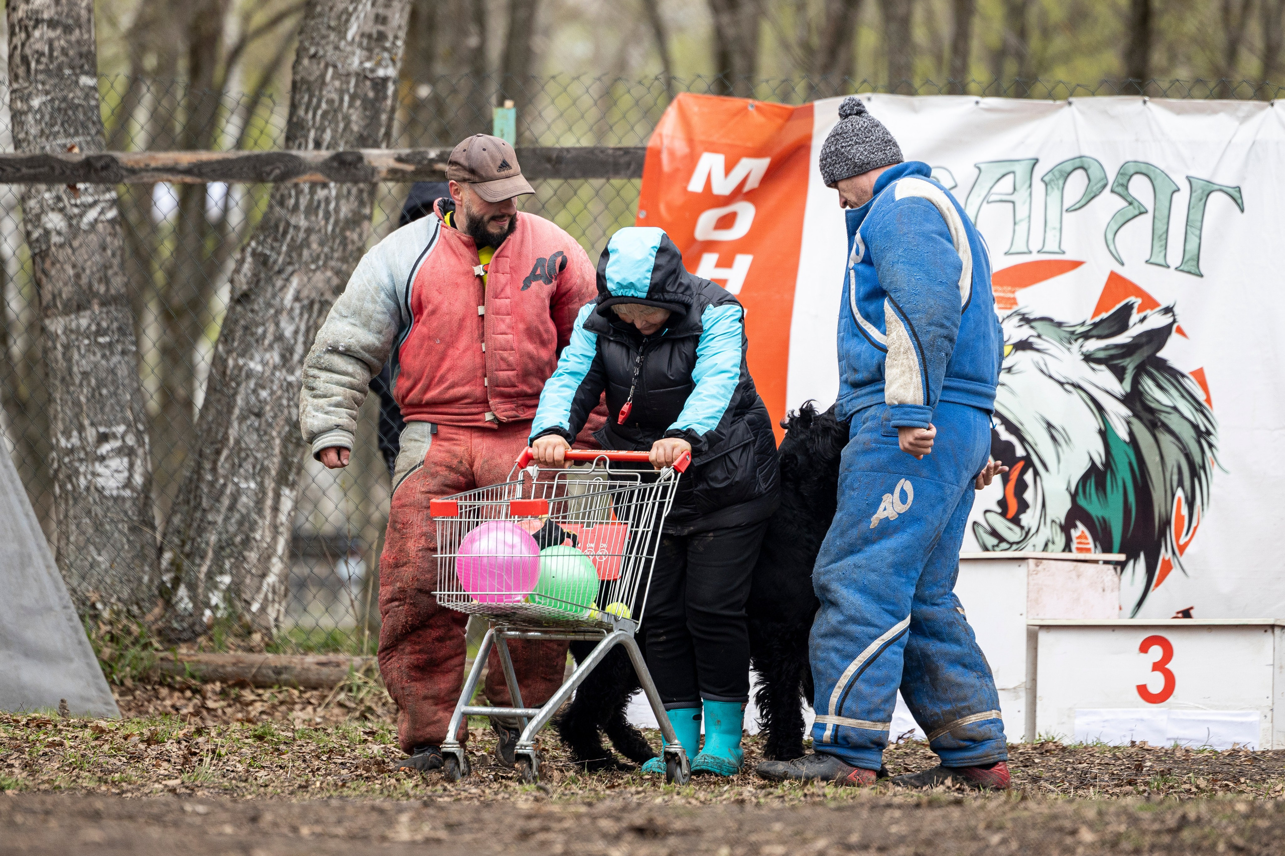 Квалификационные состязания по мондьорингу г. Вологда 11.05.24. Фотограф-анималист Анна Маринич
