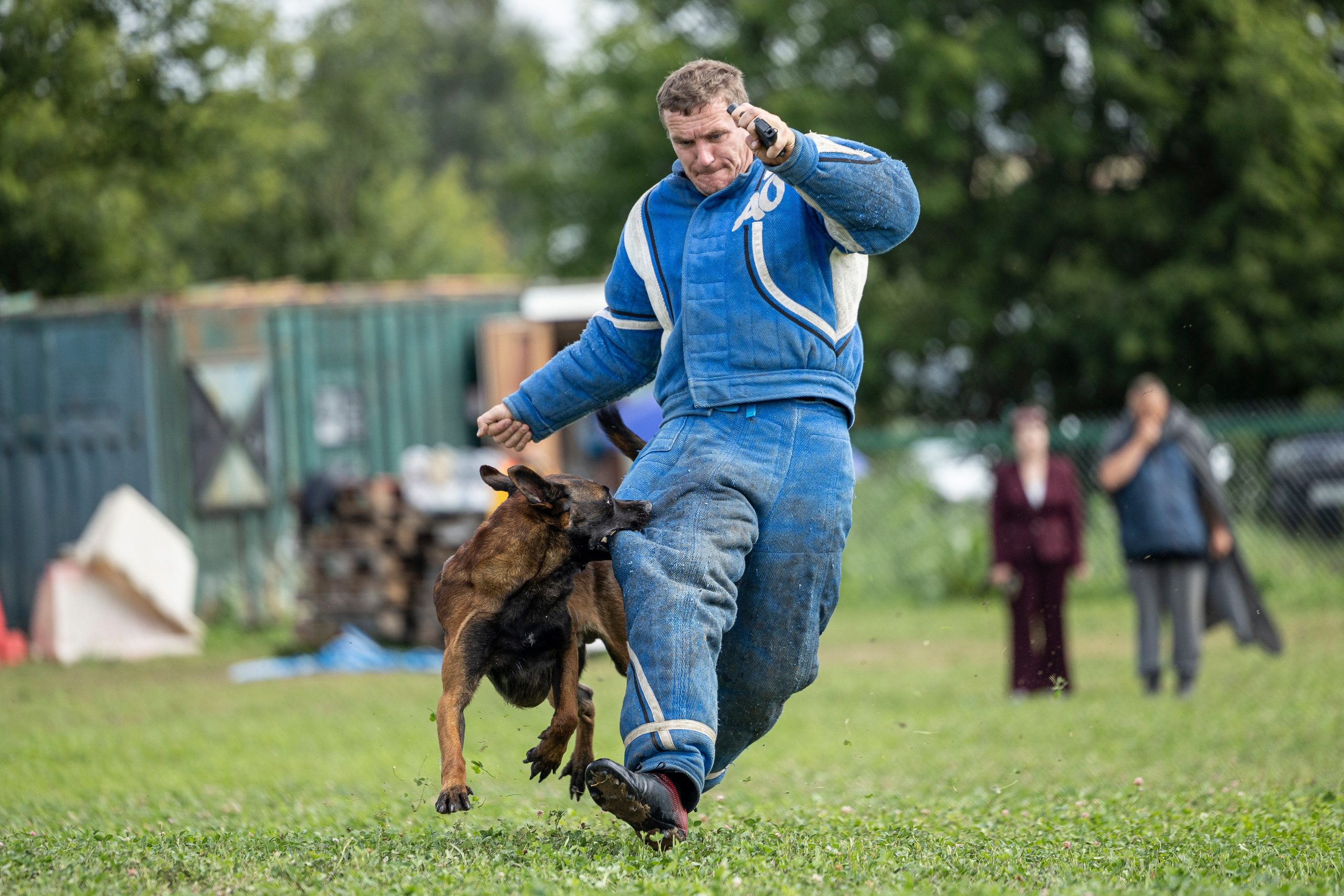 Соревнования по Мондьорингу г. Вологда 10-11.08.2024. Фотограф-анималист Анна Маринич