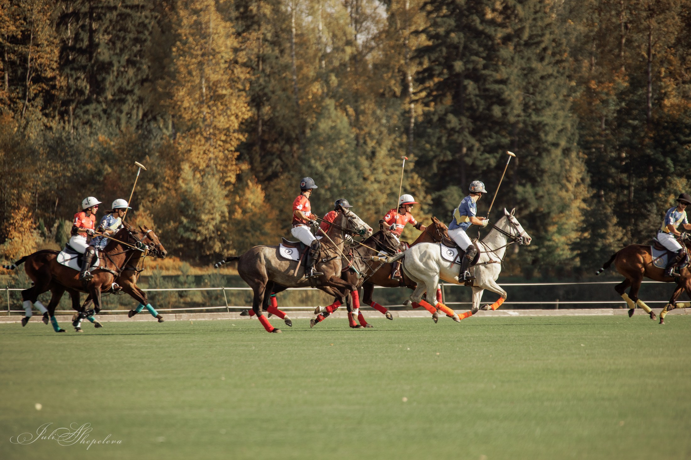Осенний кубок по конному поло. Детская Конная фотография в Москве Юлия Шепелева