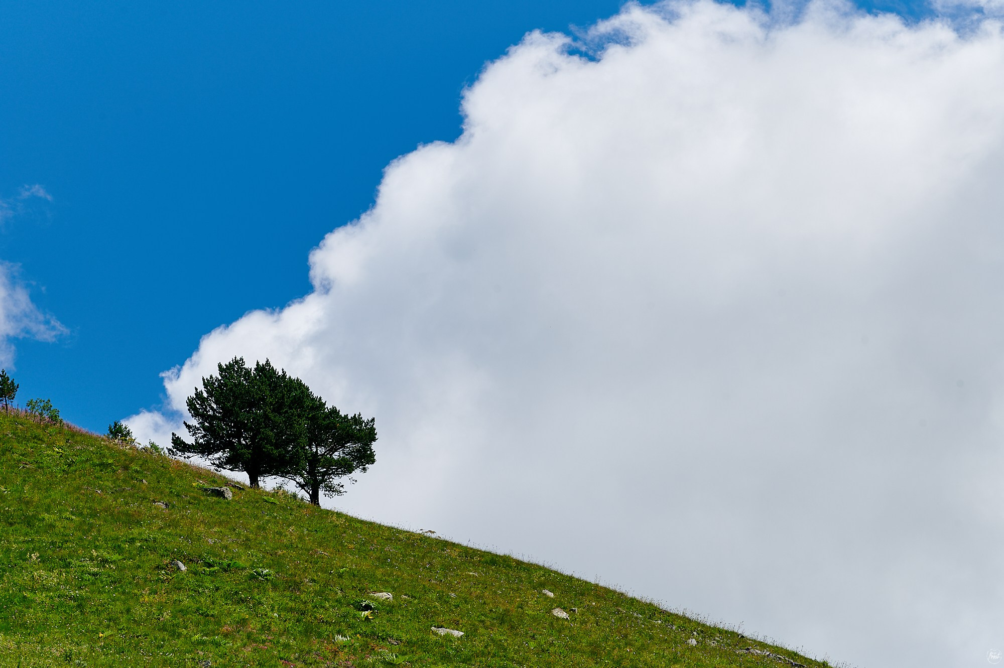 Домбай август 2024. Фотографии отовсюду и обо всем